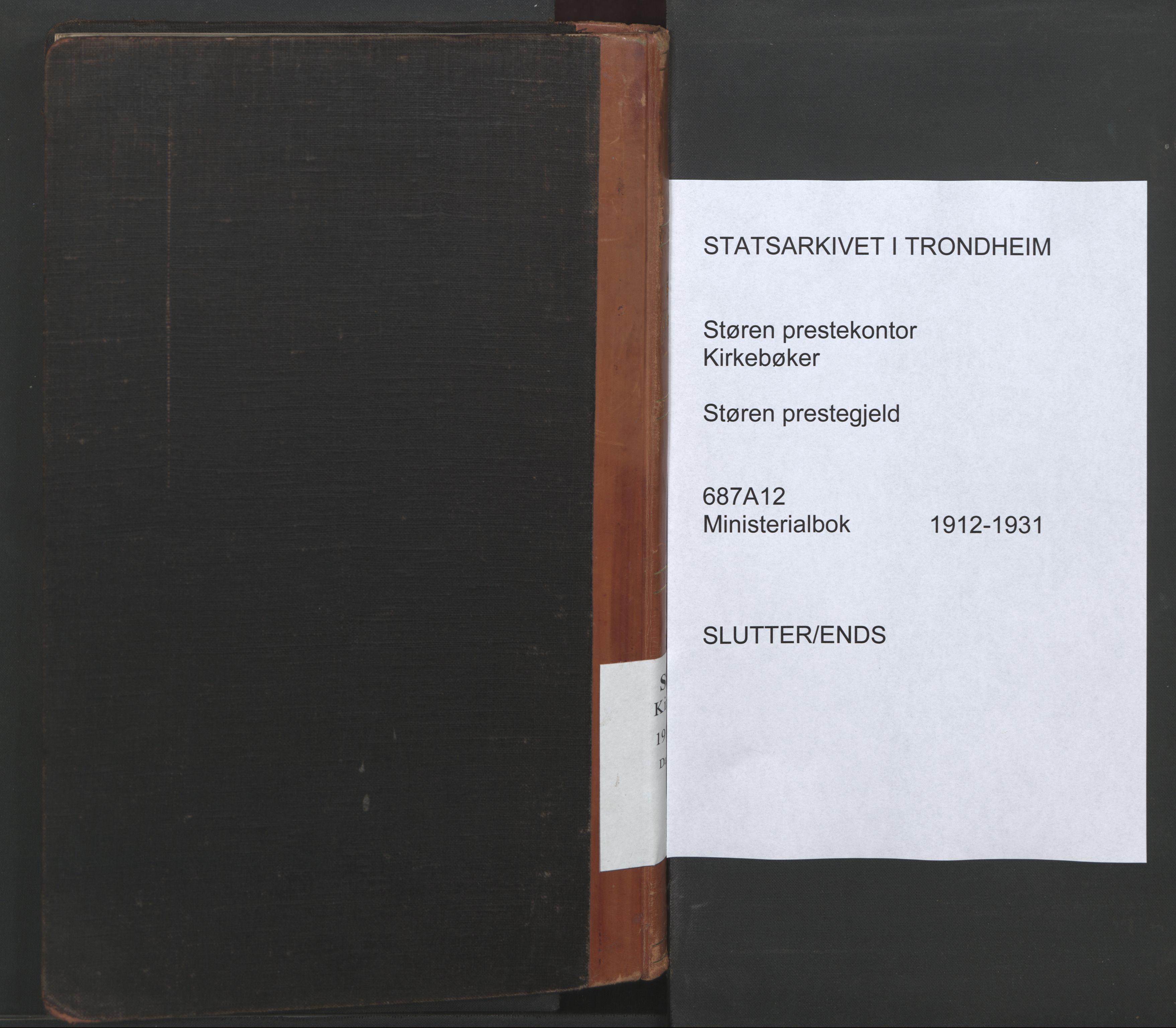 Ministerialprotokoller, klokkerbøker og fødselsregistre - Sør-Trøndelag, AV/SAT-A-1456/687/L1006: Dagsregister nr. 687A12, 1912-1931