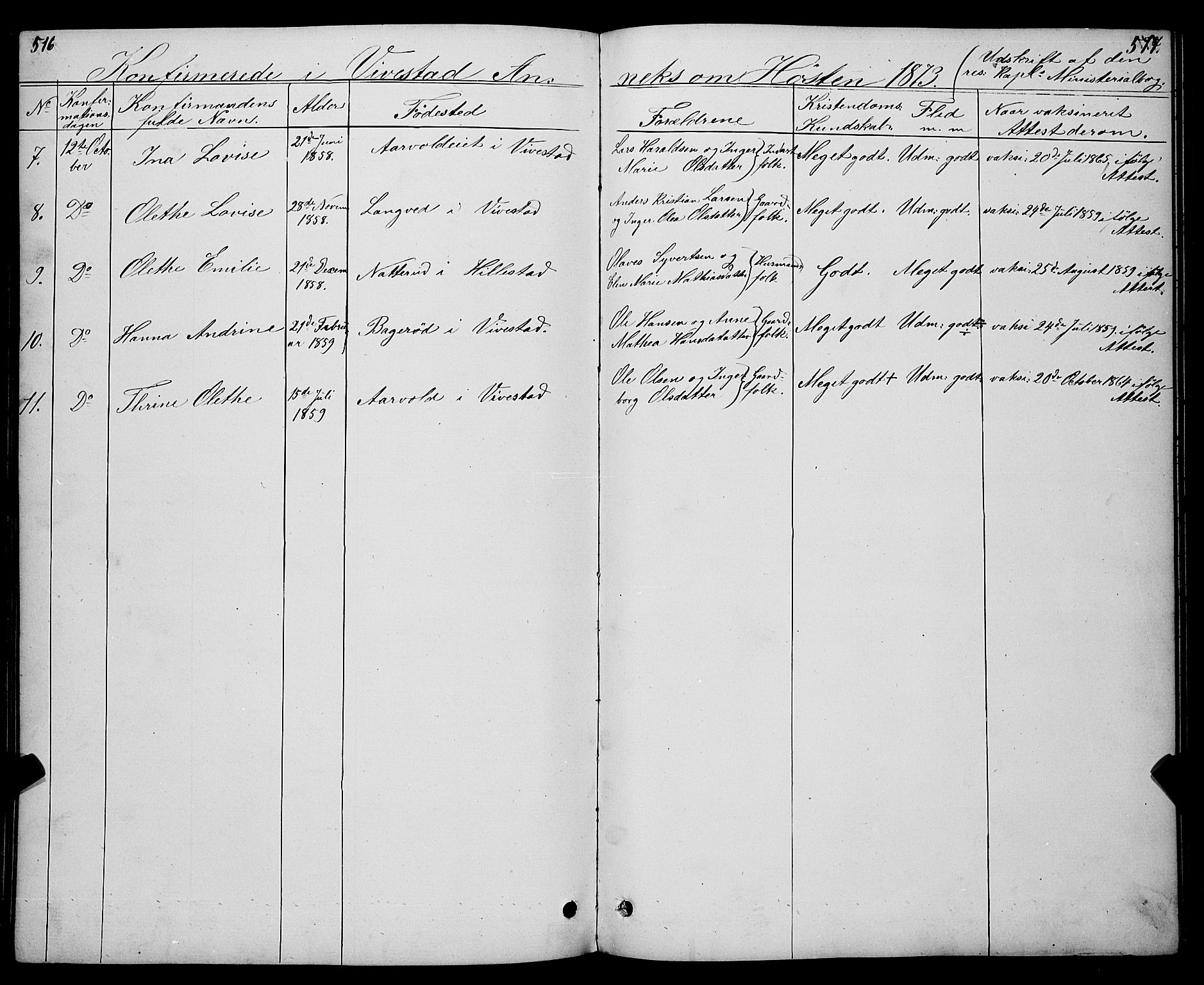 Ramnes kirkebøker, SAKO/A-314/G/Gc/L0001: Klokkerbok nr. III 1, 1869-1903, s. 516-517