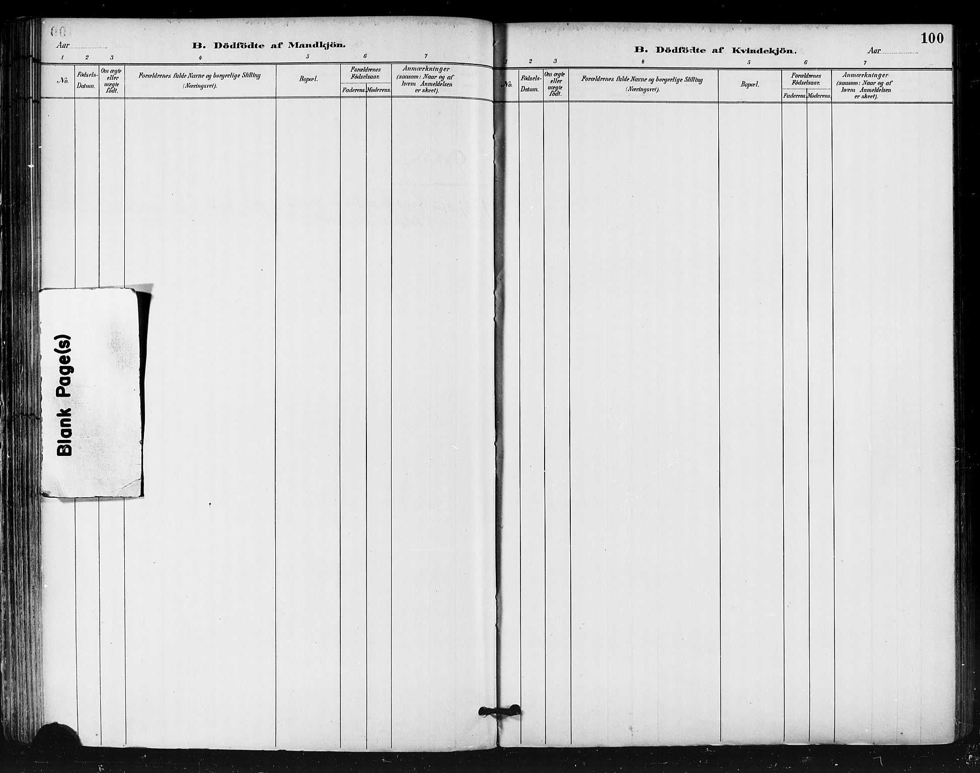 Ministerialprotokoller, klokkerbøker og fødselsregistre - Nordland, SAT/A-1459/812/L0178: Ministerialbok nr. 812A07, 1886-1900, s. 100