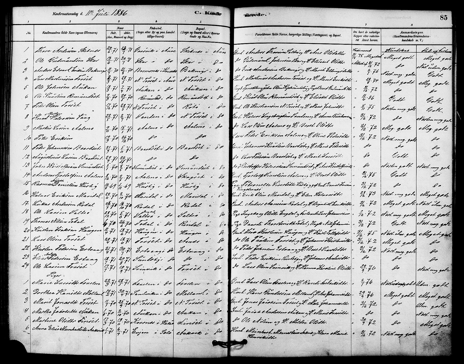 Ministerialprotokoller, klokkerbøker og fødselsregistre - Møre og Romsdal, AV/SAT-A-1454/578/L0906: Ministerialbok nr. 578A05, 1878-1886, s. 85