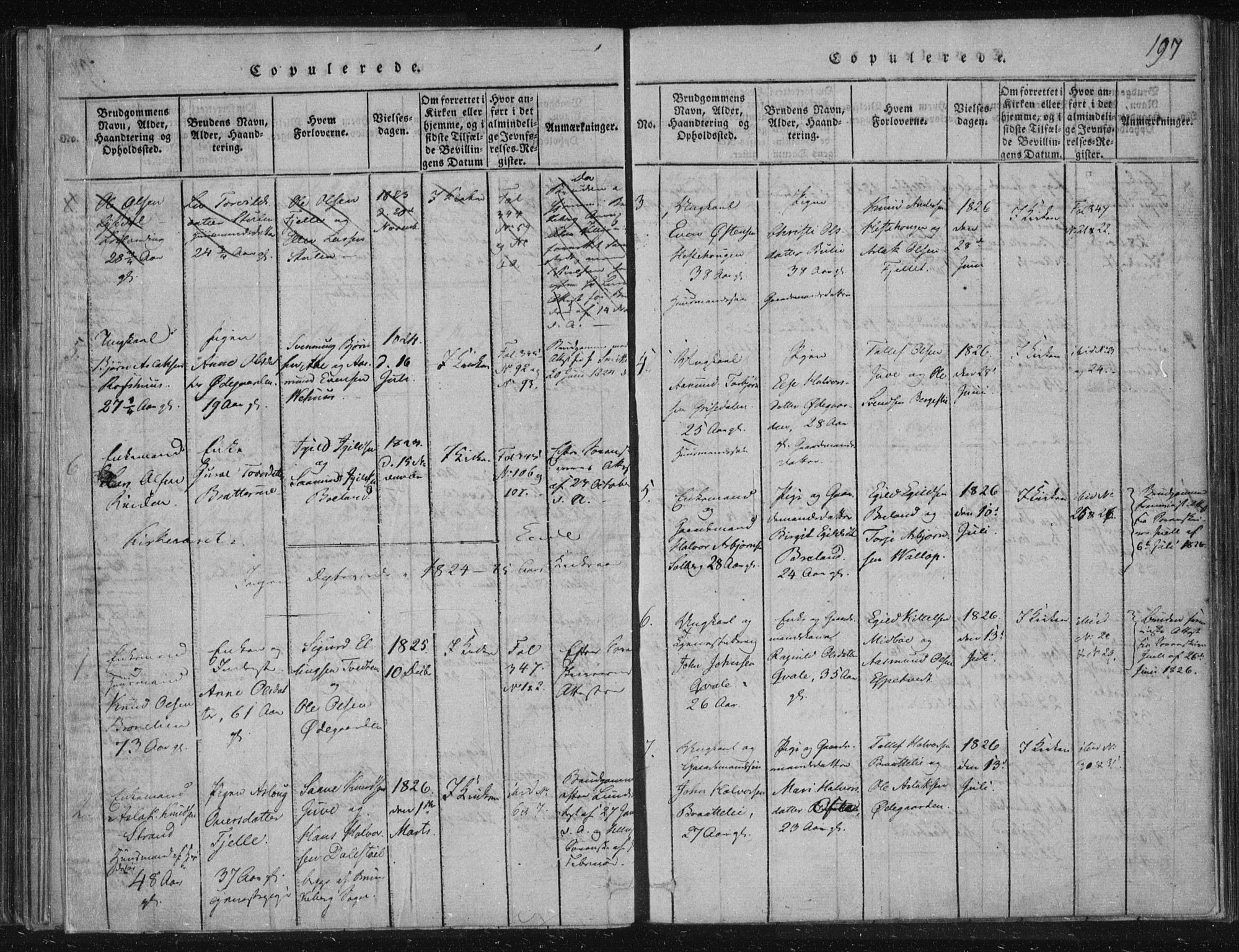 Lårdal kirkebøker, AV/SAKO-A-284/F/Fc/L0001: Ministerialbok nr. III 1, 1815-1860, s. 197