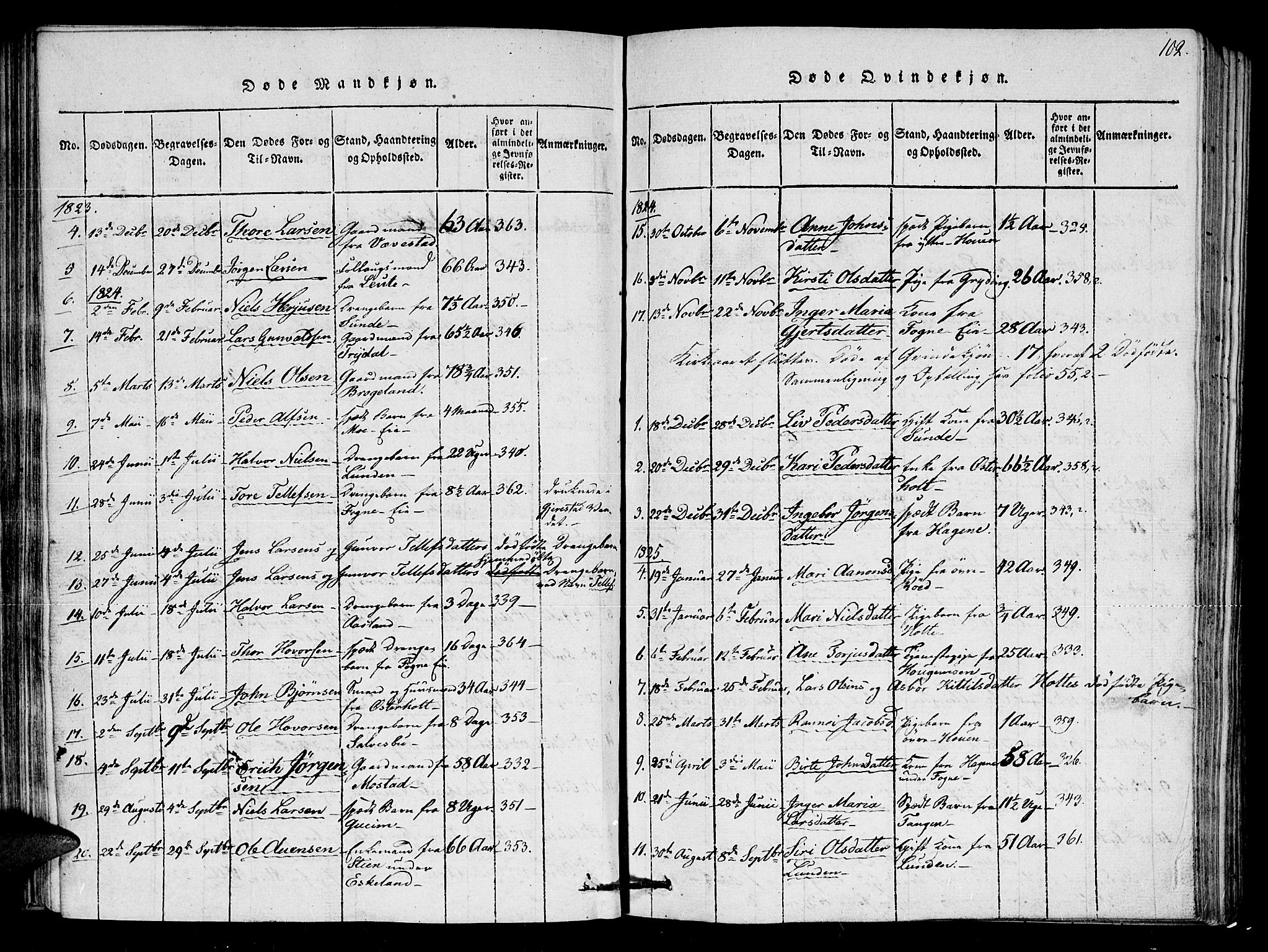 Gjerstad sokneprestkontor, SAK/1111-0014/F/Fa/Faa/L0004: Ministerialbok nr. A 4, 1816-1829, s. 102