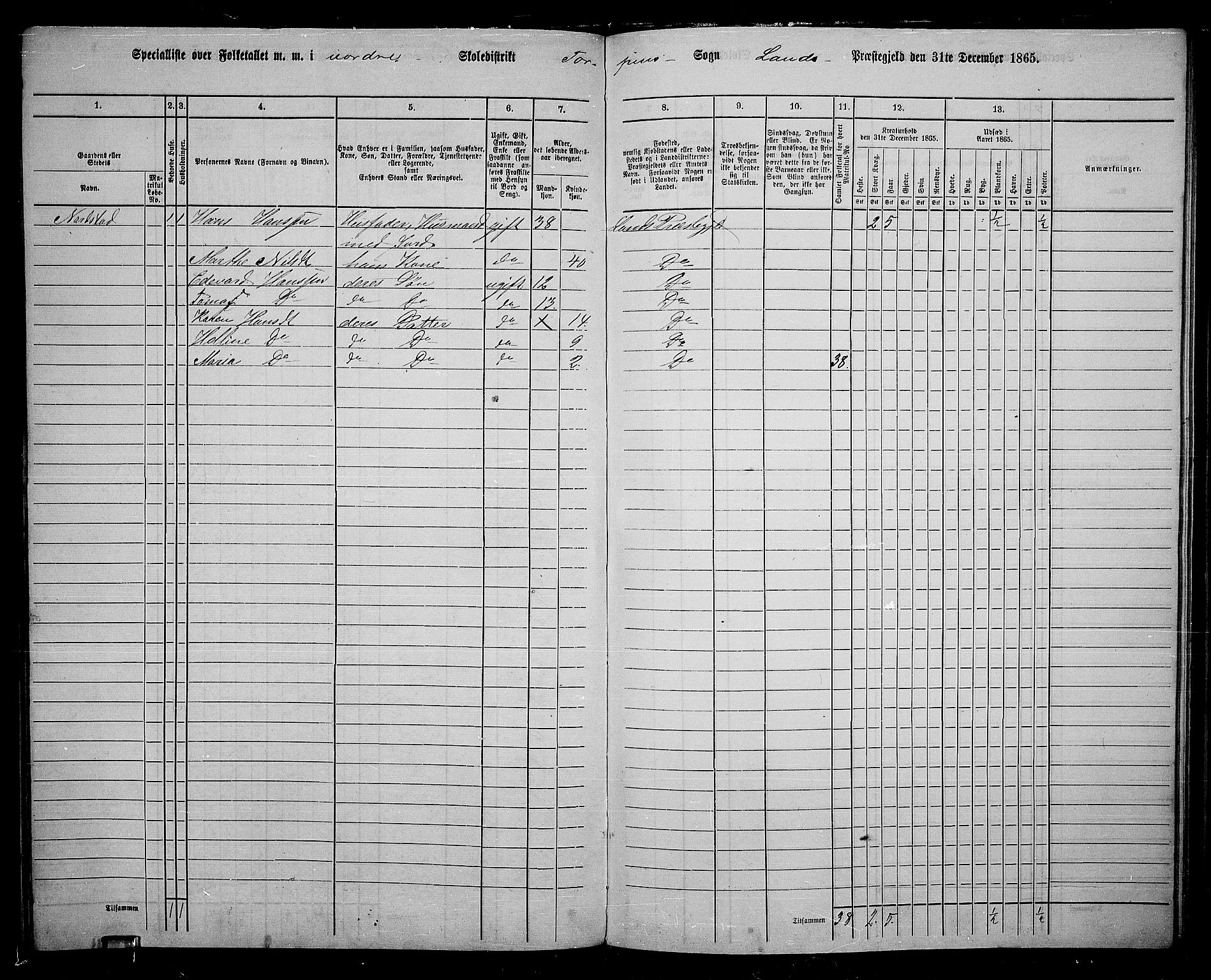 RA, Folketelling 1865 for 0536P Land prestegjeld, 1865, s. 178