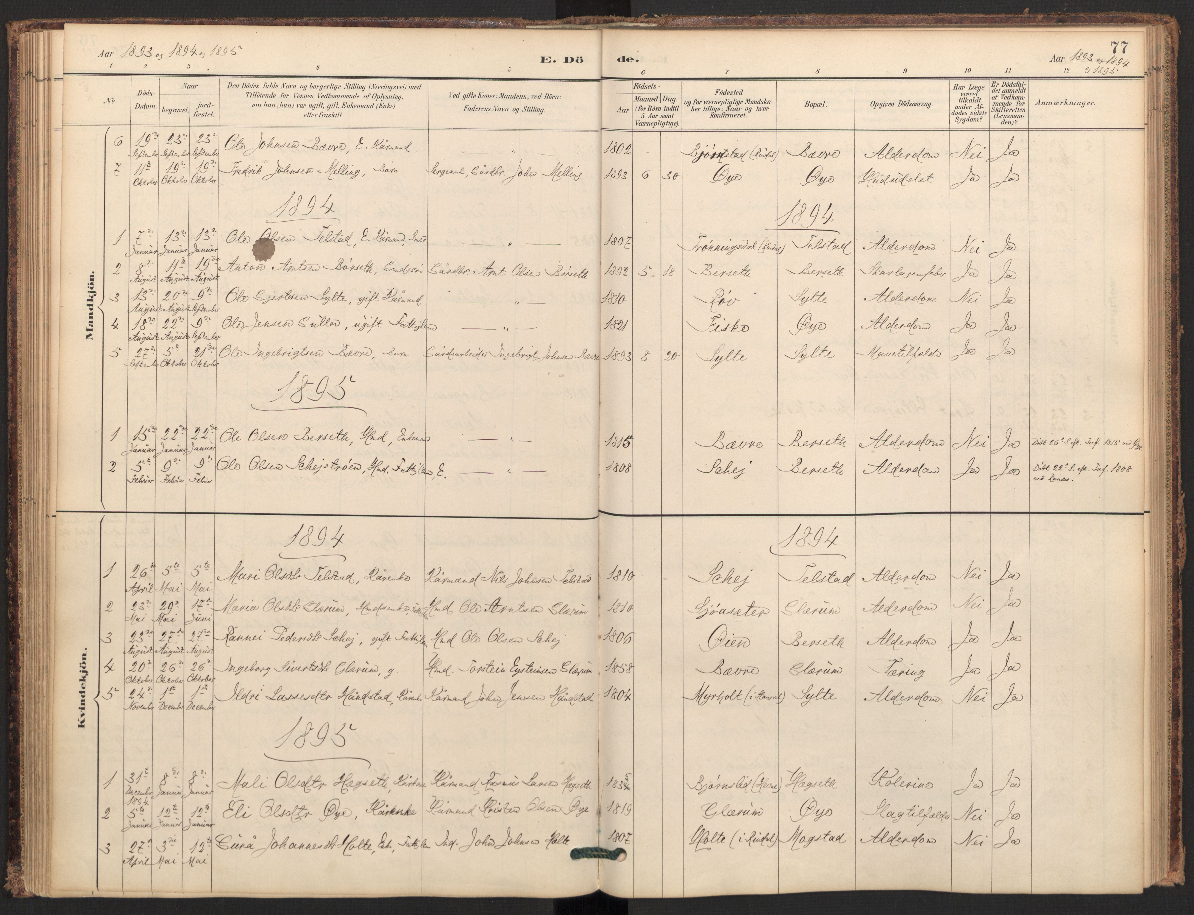 Ministerialprotokoller, klokkerbøker og fødselsregistre - Møre og Romsdal, SAT/A-1454/595/L1047: Ministerialbok nr. 595A09, 1885-1900, s. 77