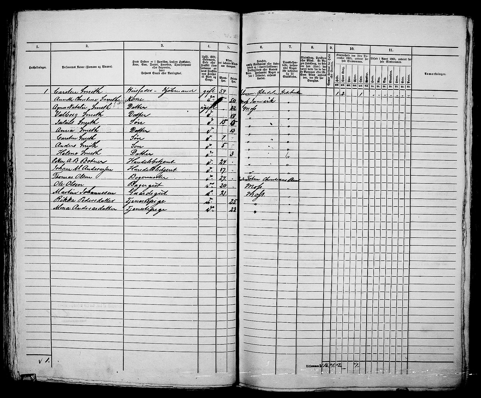 RA, Folketelling 1865 for 0104B Moss prestegjeld, Moss kjøpstad, 1865, s. 164