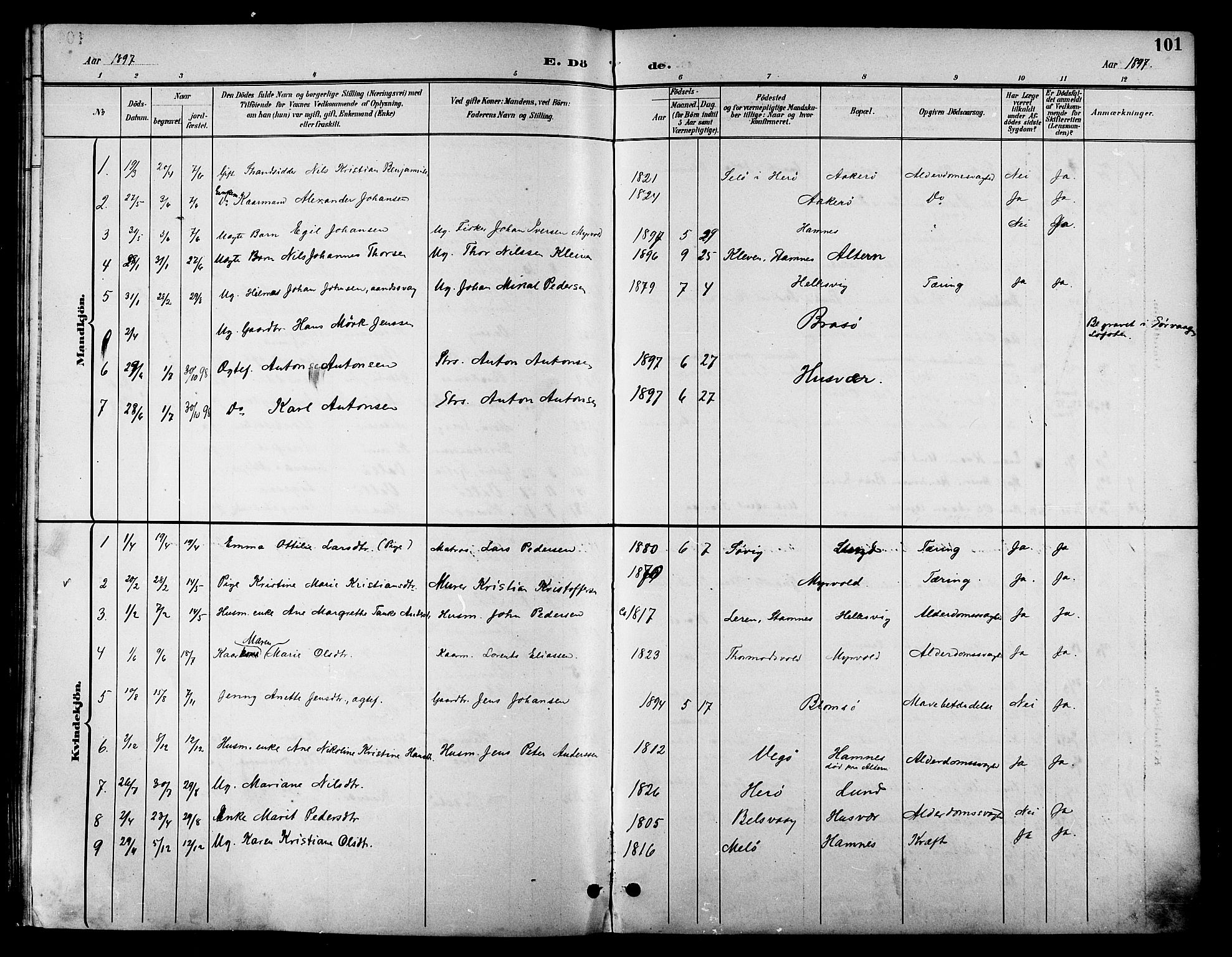 Ministerialprotokoller, klokkerbøker og fødselsregistre - Nordland, SAT/A-1459/830/L0463: Klokkerbok nr. 830C05, 1895-1906, s. 101