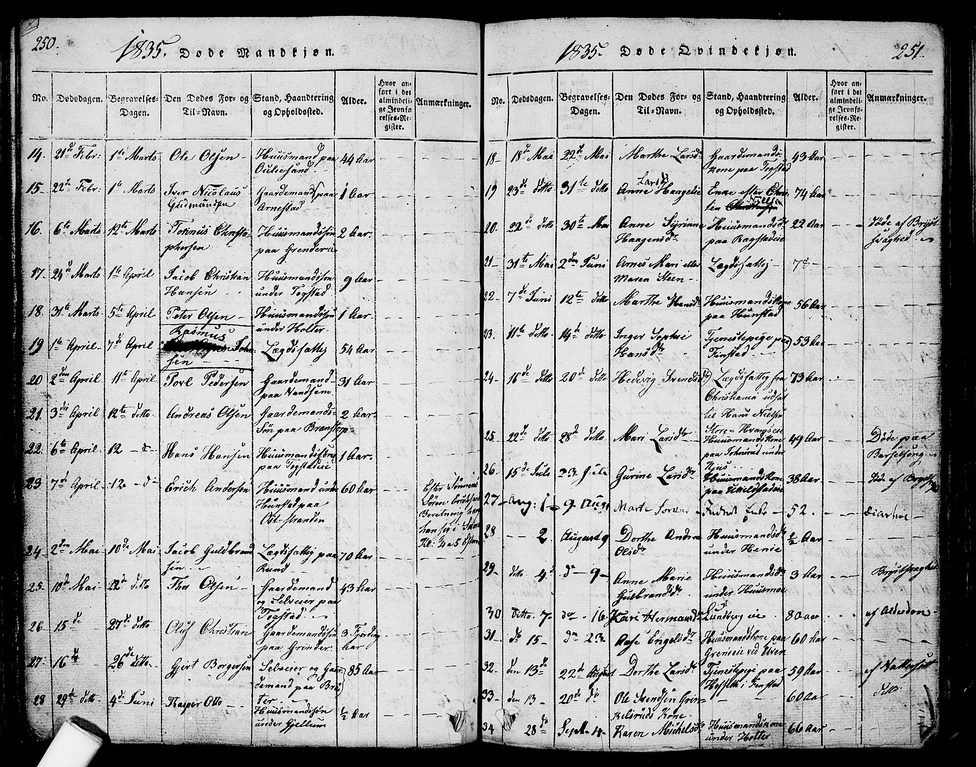 Nes prestekontor Kirkebøker, SAO/A-10410/F/Fa/L0005: Ministerialbok nr. I 5, 1815-1835, s. 250-251