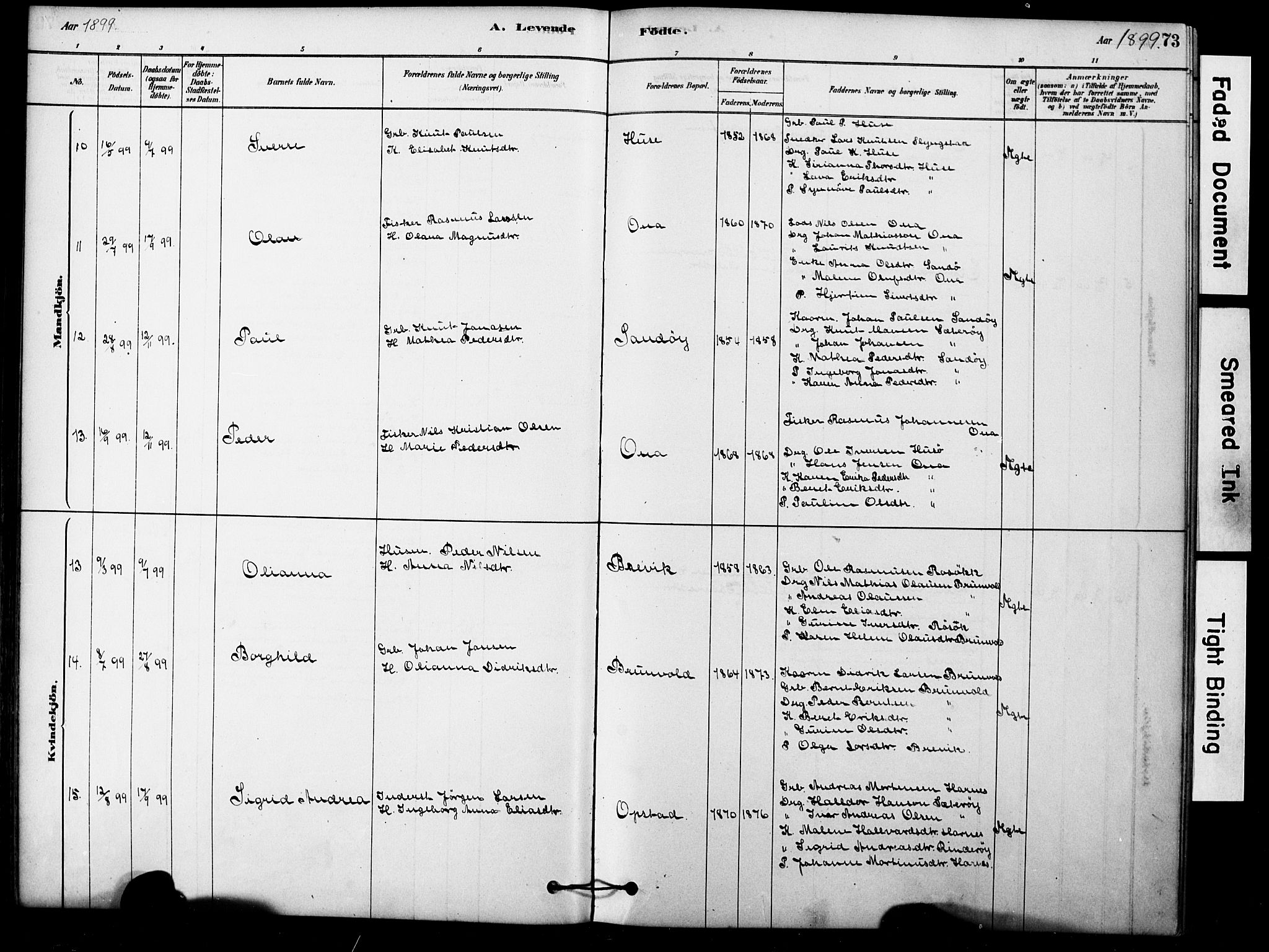 Ministerialprotokoller, klokkerbøker og fødselsregistre - Møre og Romsdal, SAT/A-1454/561/L0729: Ministerialbok nr. 561A03, 1878-1900, s. 73