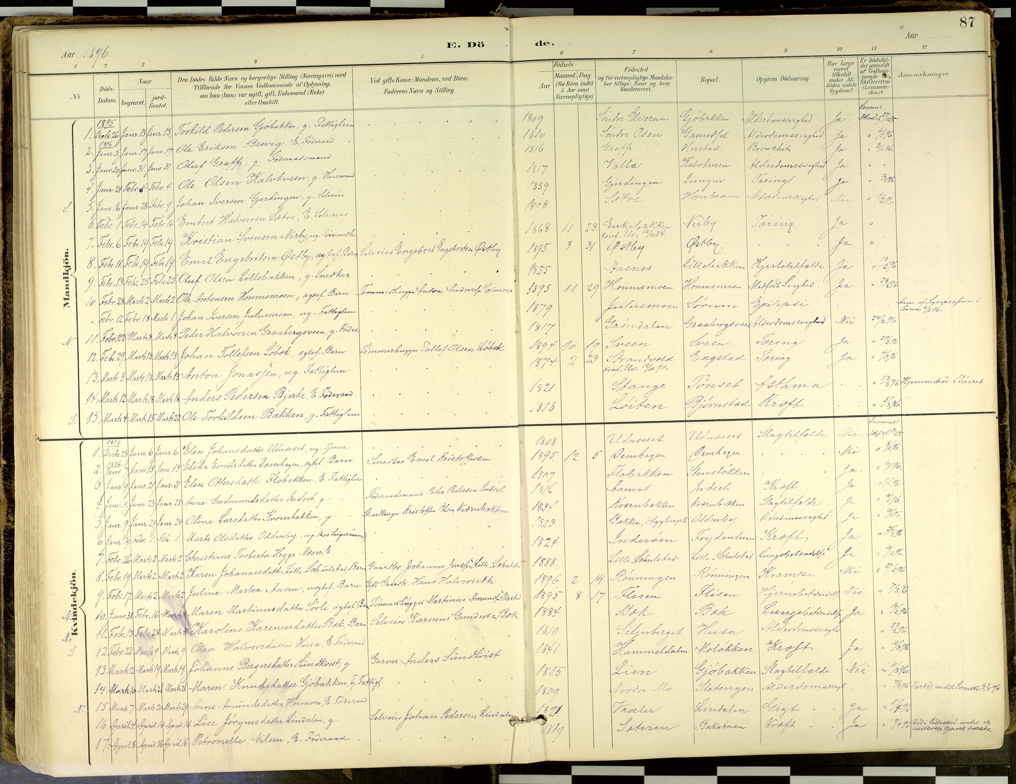 Elverum prestekontor, AV/SAH-PREST-044/H/Ha/Haa/L0018: Ministerialbok nr. 18, 1894-1914, s. 87