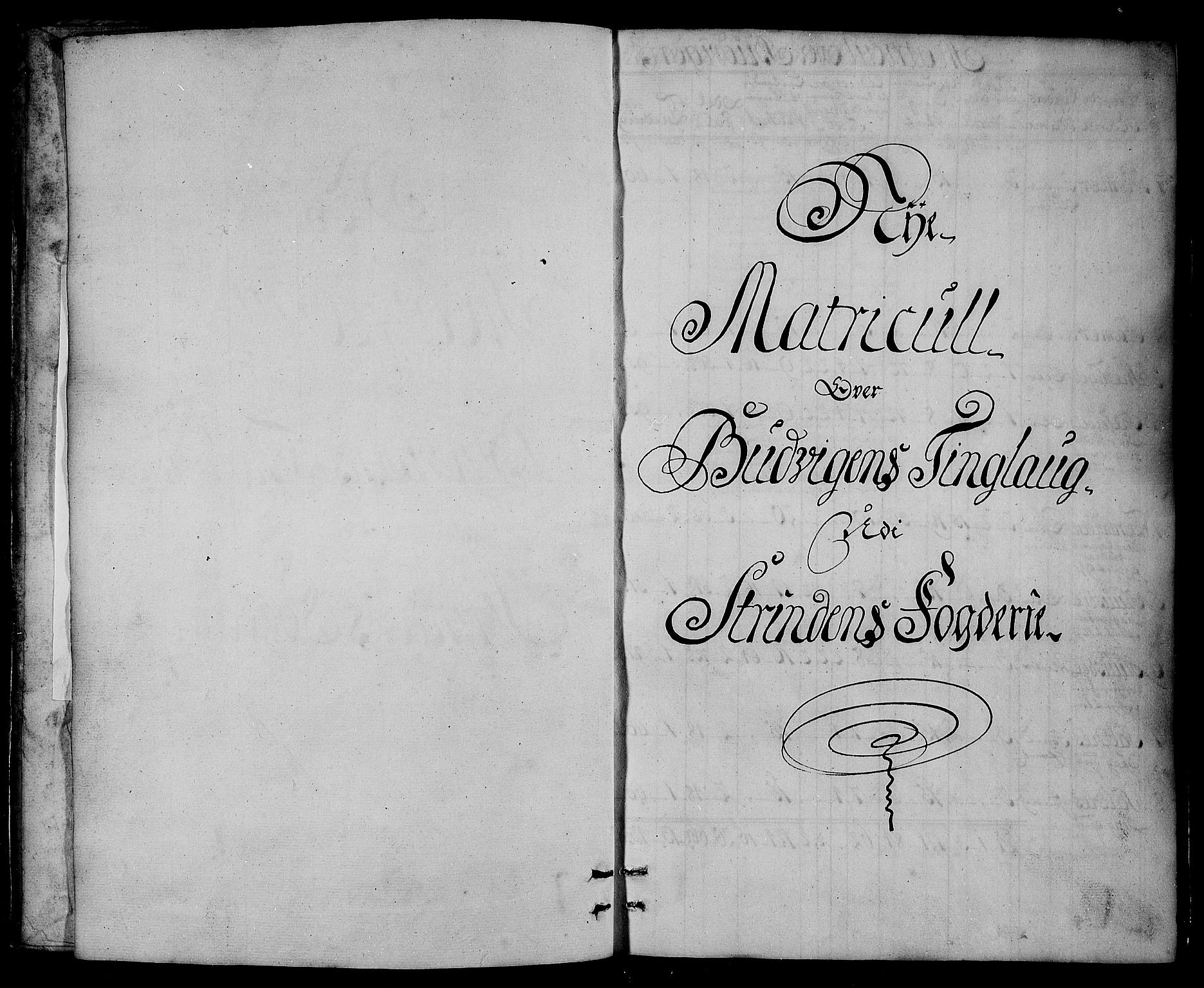 Rentekammeret inntil 1814, Realistisk ordnet avdeling, AV/RA-EA-4070/N/Nb/Nbf/L0161: Strinda og Selbu matrikkelprotokoll, 1723, s. 2