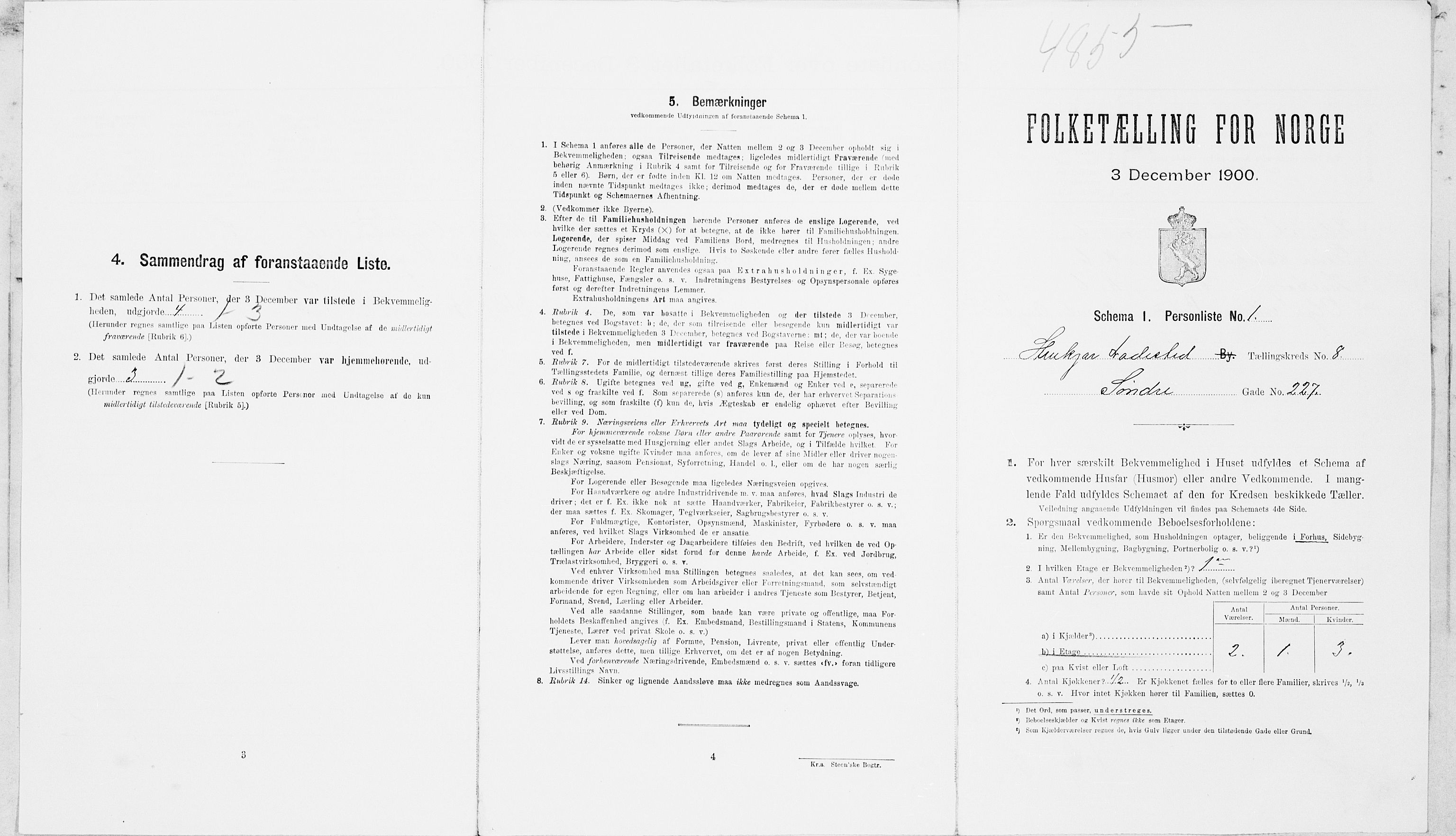 SAT, Folketelling 1900 for 1702 Steinkjer ladested, 1900, s. 871