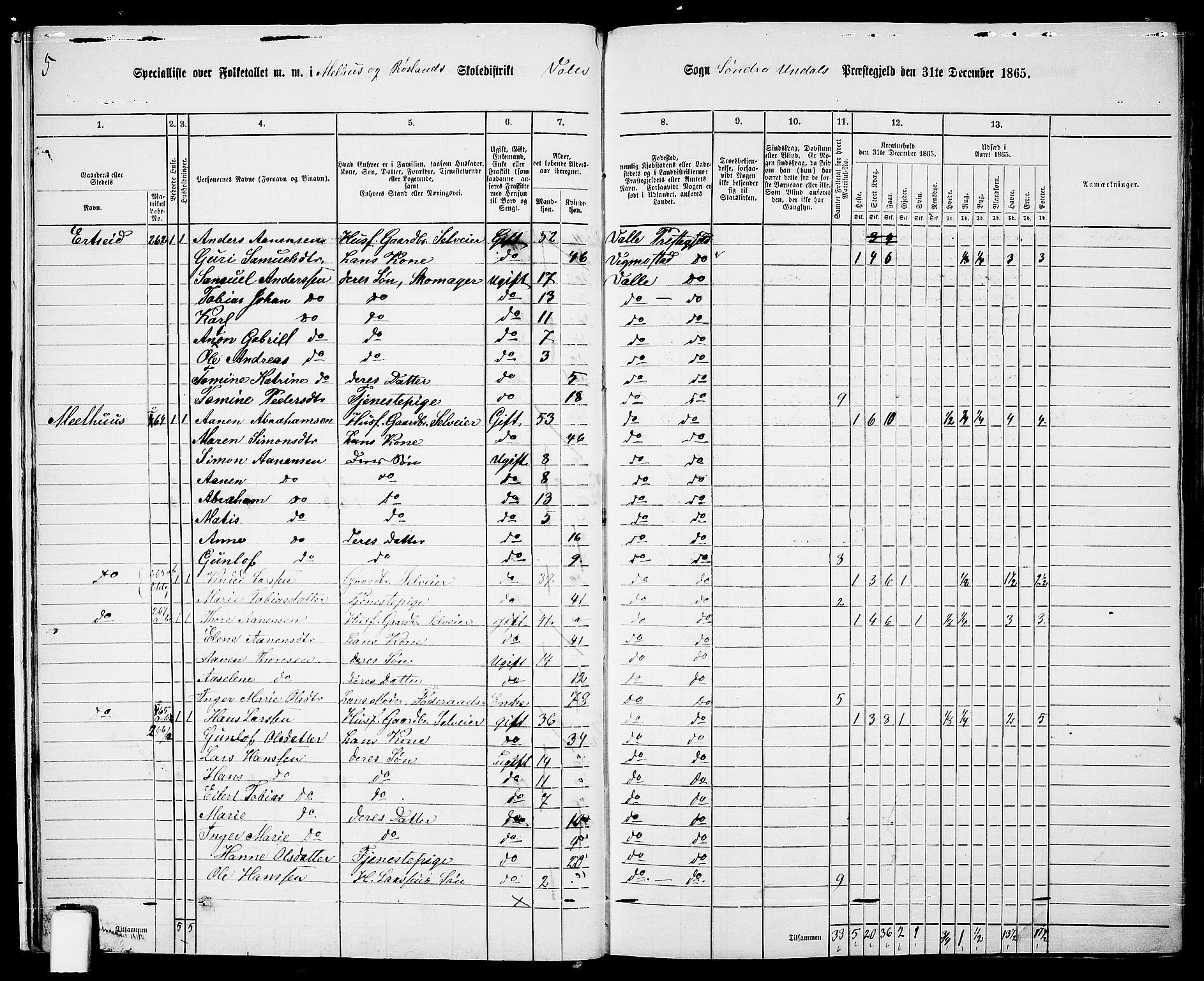 RA, Folketelling 1865 for 1029P Sør-Audnedal prestegjeld, 1865, s. 21