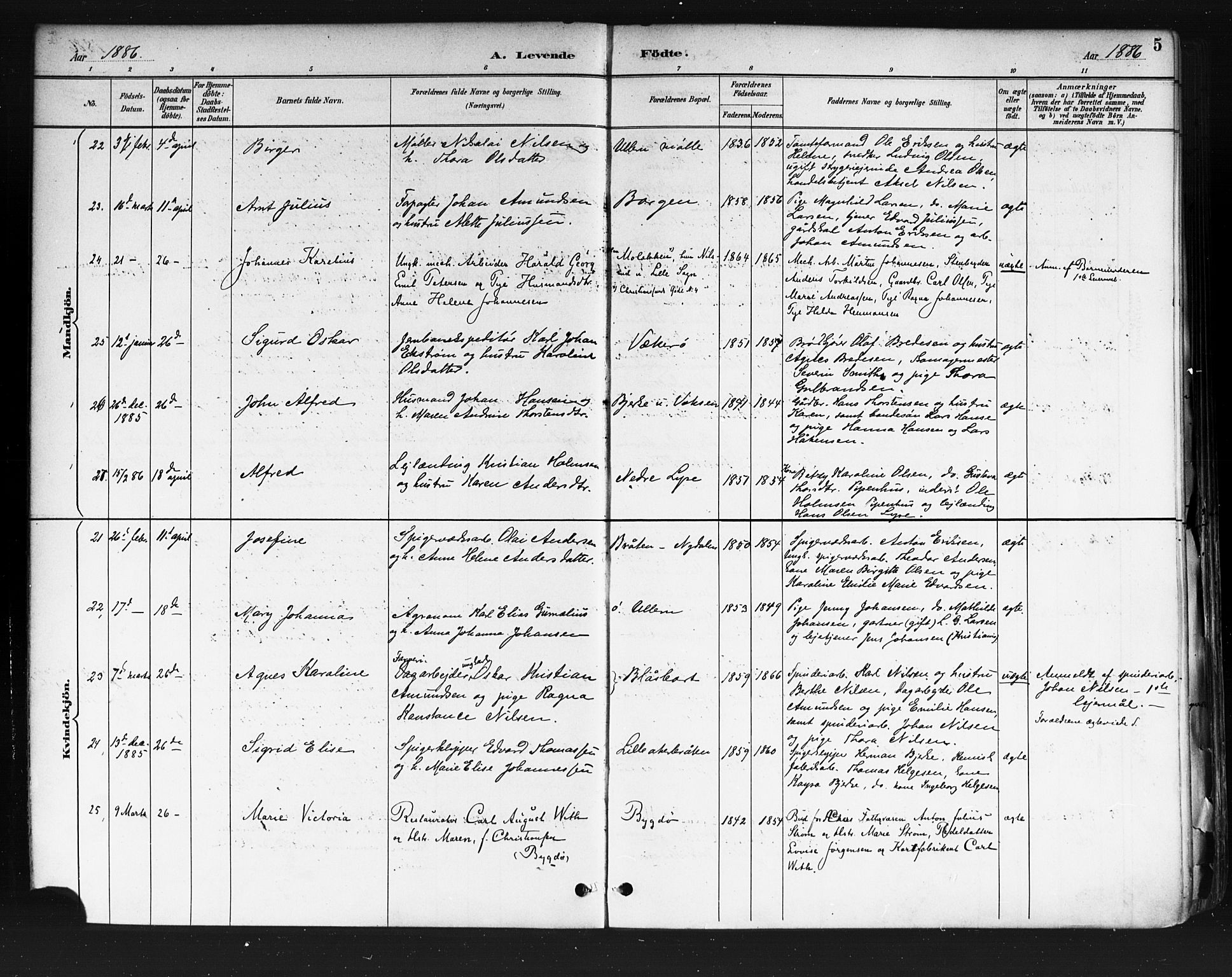 Vestre Aker prestekontor Kirkebøker, AV/SAO-A-10025/F/Fa/L0010: Ministerialbok nr. 10, 1886-1903, s. 5