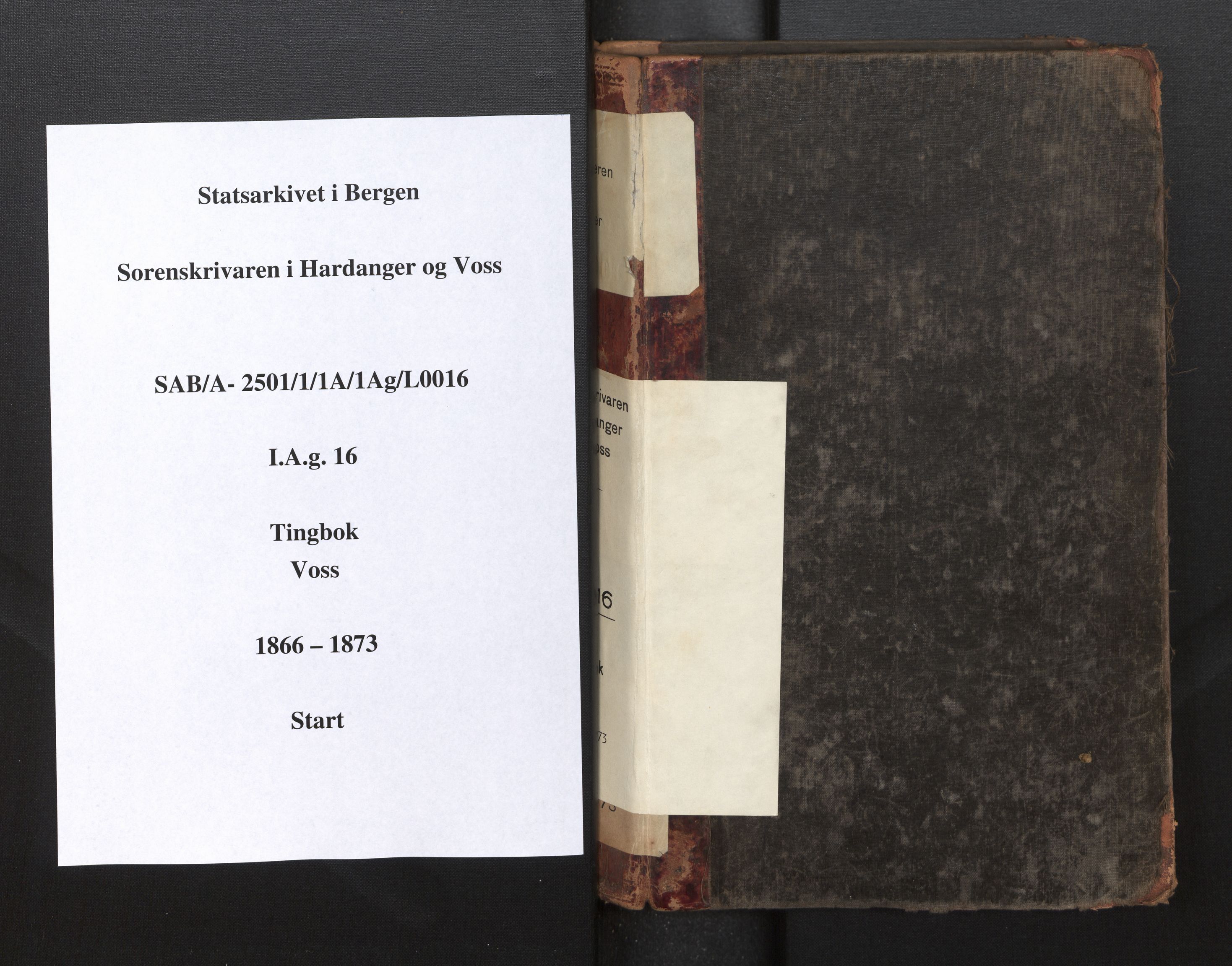 Hardanger og Voss sorenskriveri, SAB/A-2501/1/1A/1Ag/L0016: Tingbok for Voss, 1866-1873
