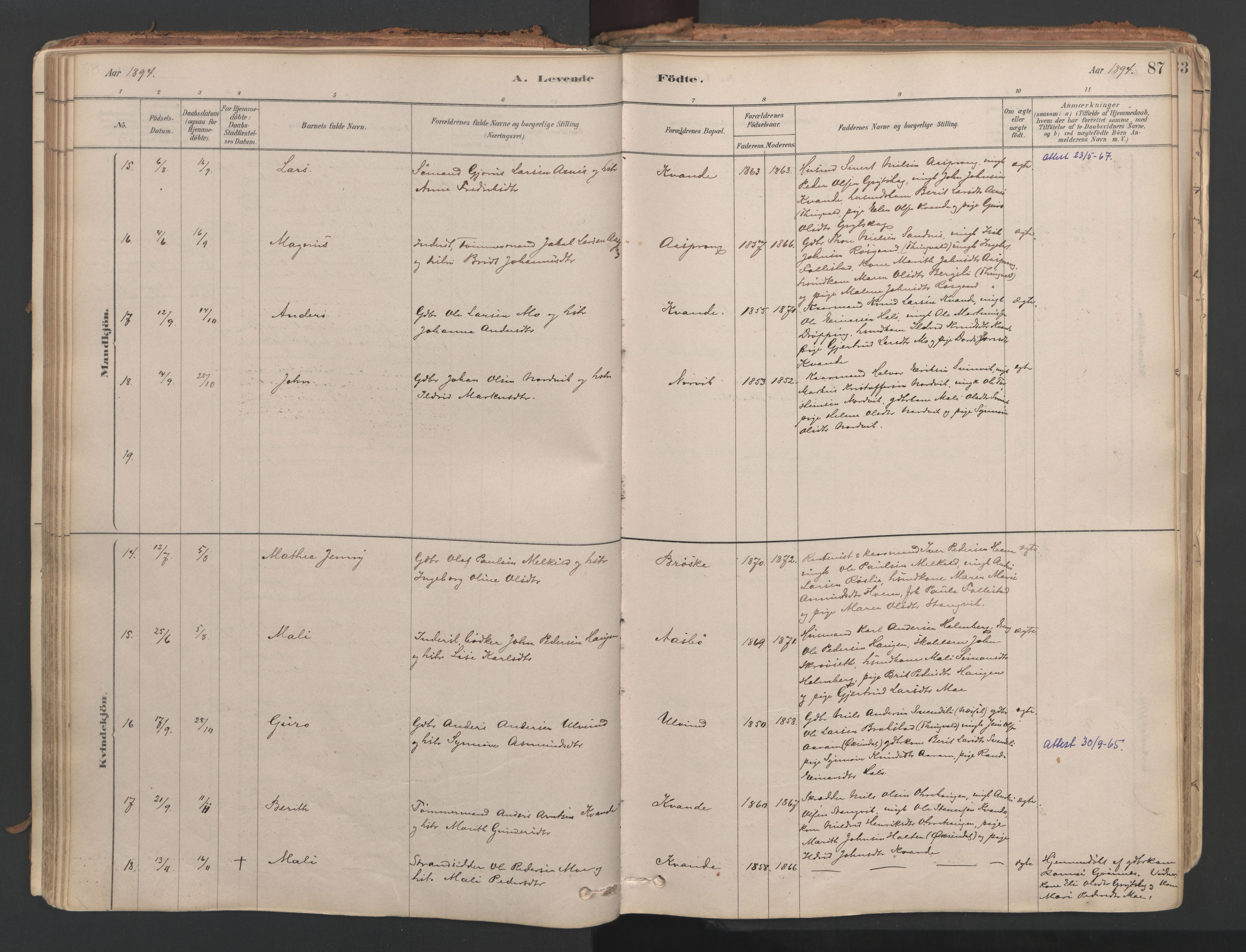 Ministerialprotokoller, klokkerbøker og fødselsregistre - Møre og Romsdal, AV/SAT-A-1454/592/L1029: Ministerialbok nr. 592A07, 1879-1902, s. 87