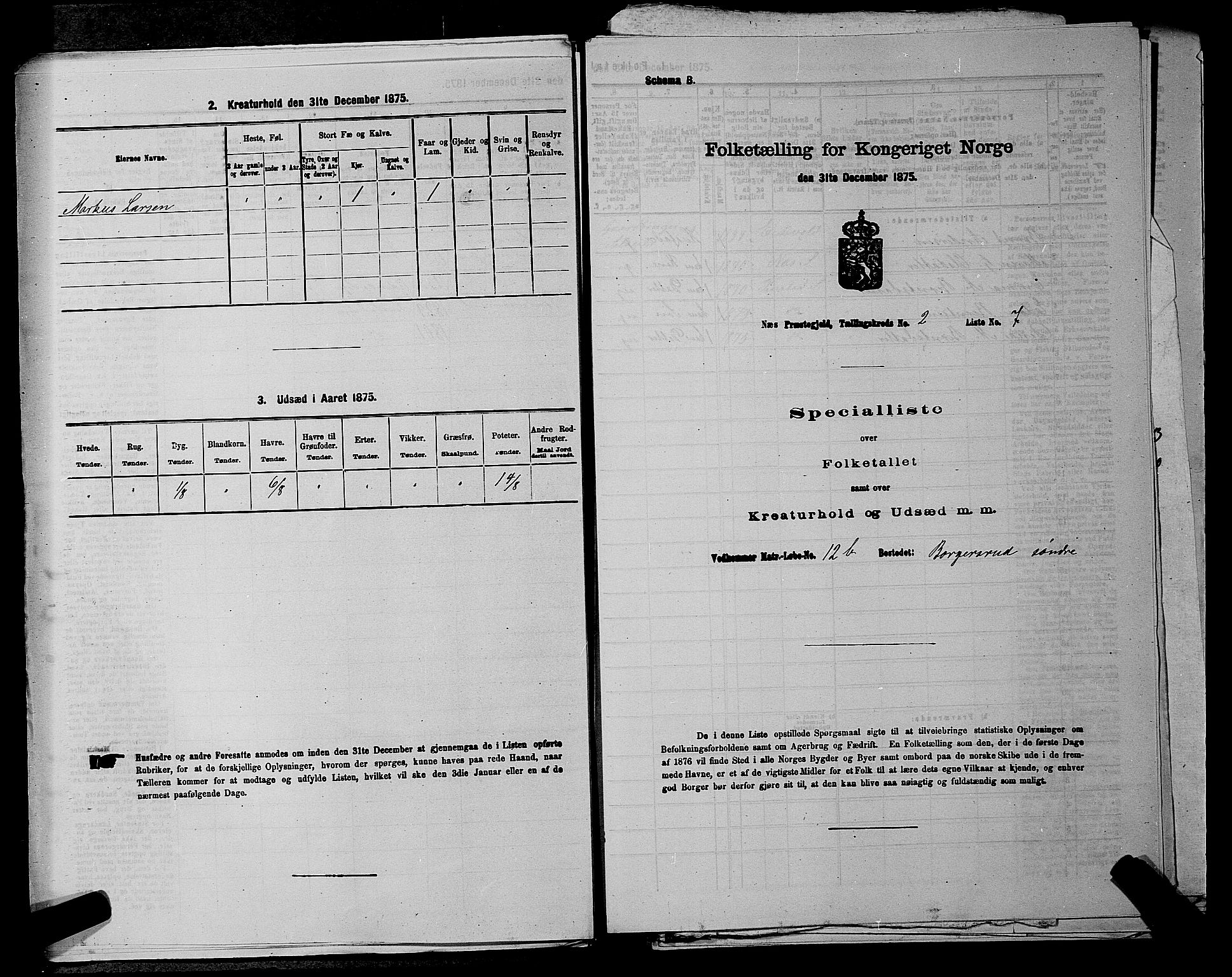 RA, Folketelling 1875 for 0236P Nes prestegjeld, 1875, s. 322