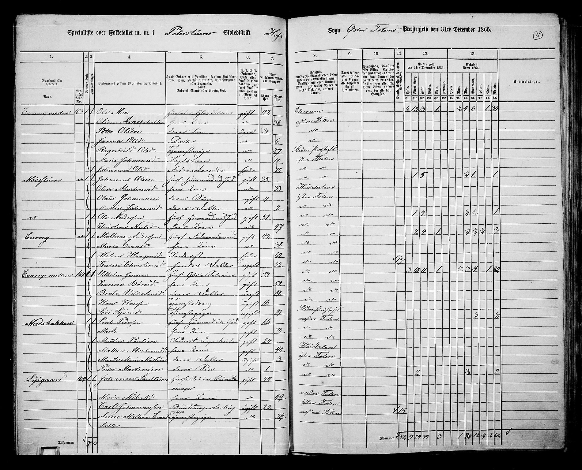 RA, Folketelling 1865 for 0528P Østre Toten prestegjeld, 1865, s. 202