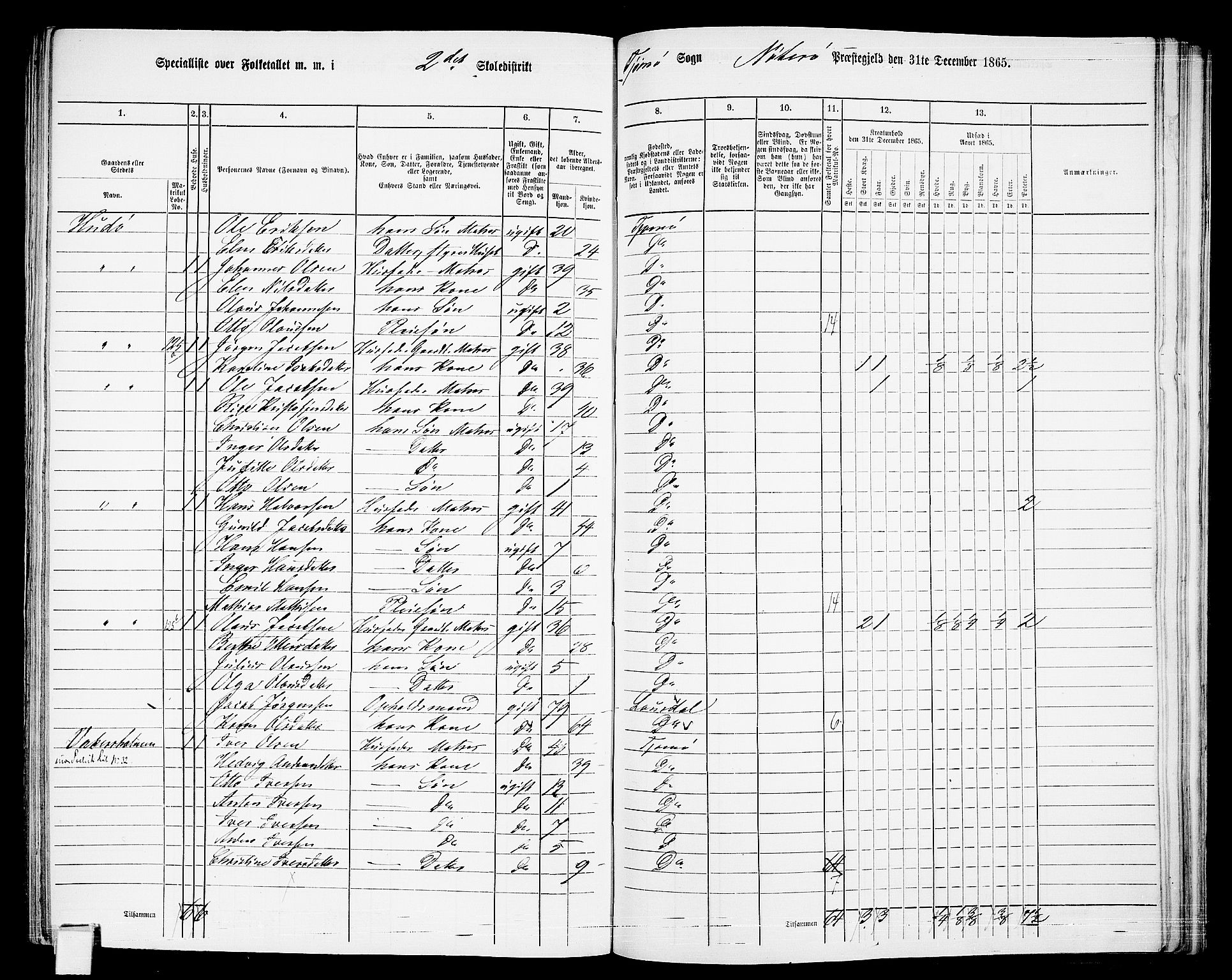 RA, Folketelling 1865 for 0722P Nøtterøy prestegjeld, 1865, s. 268