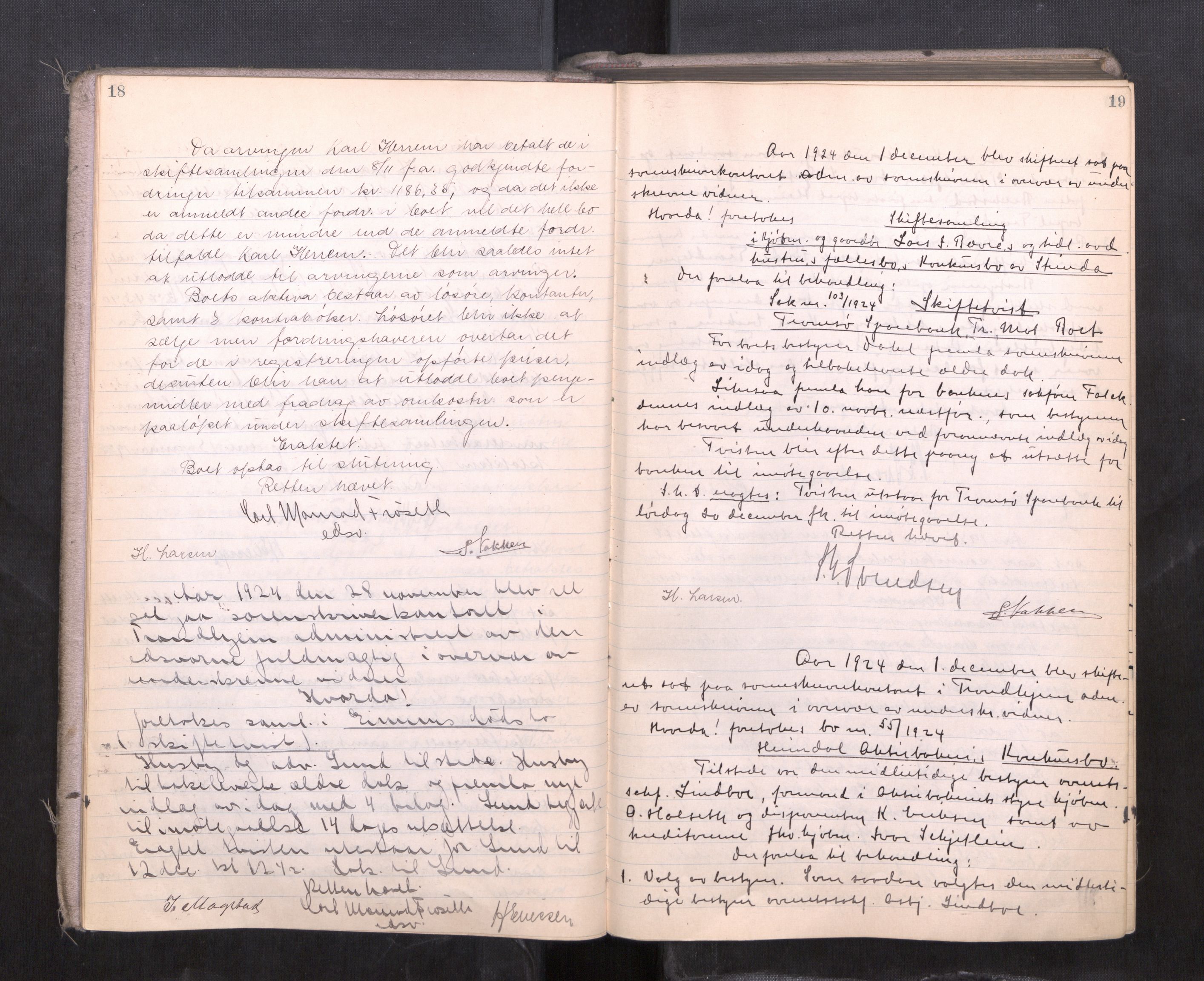 Strinda og Selbu sorenskriveri, AV/SAT-A-0015/3/3B/L0015: Skifteforhandlingsprot. 15, 1924-1927, s. 18-19