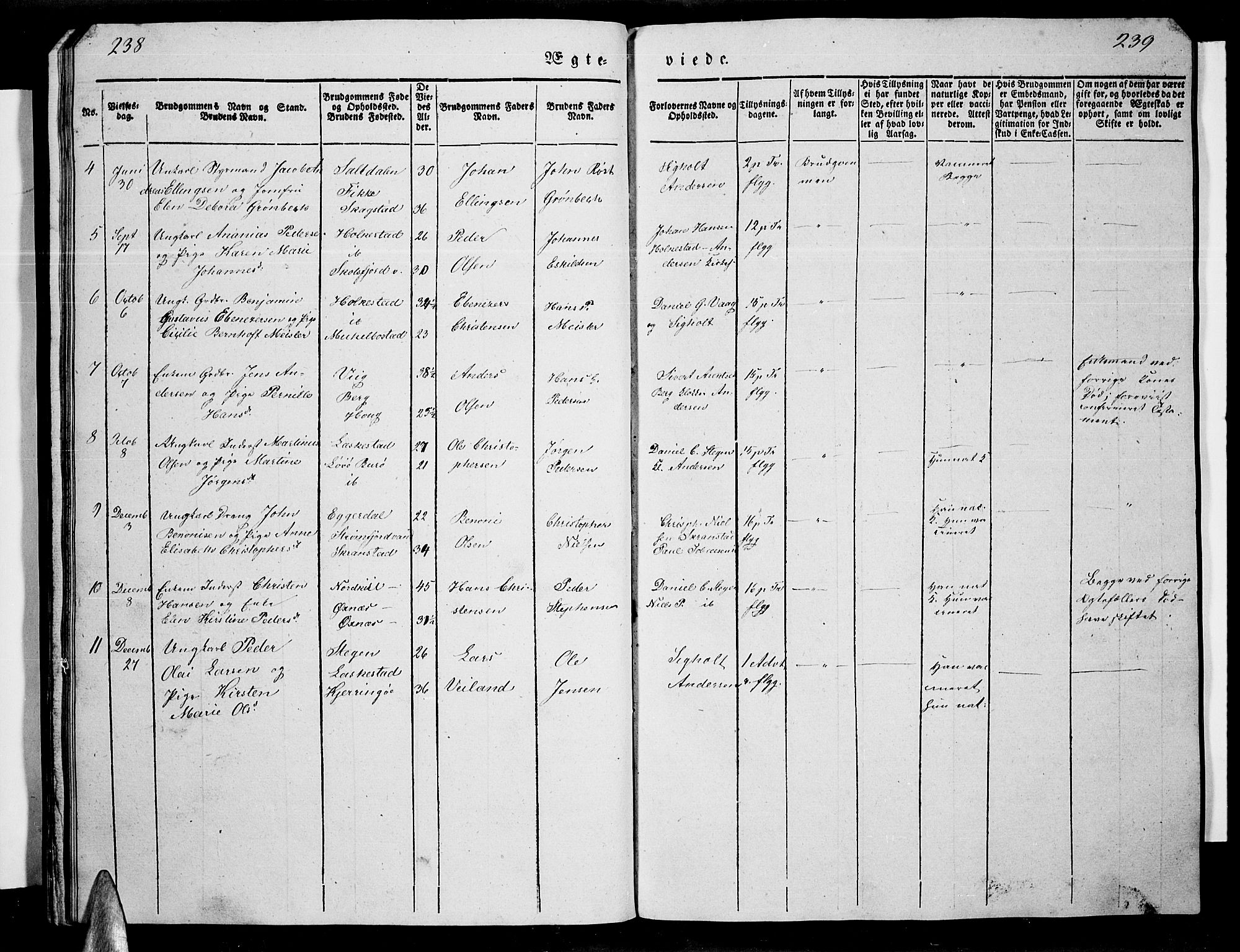 Ministerialprotokoller, klokkerbøker og fødselsregistre - Nordland, AV/SAT-A-1459/855/L0813: Klokkerbok nr. 855C02, 1836-1850, s. 238-239