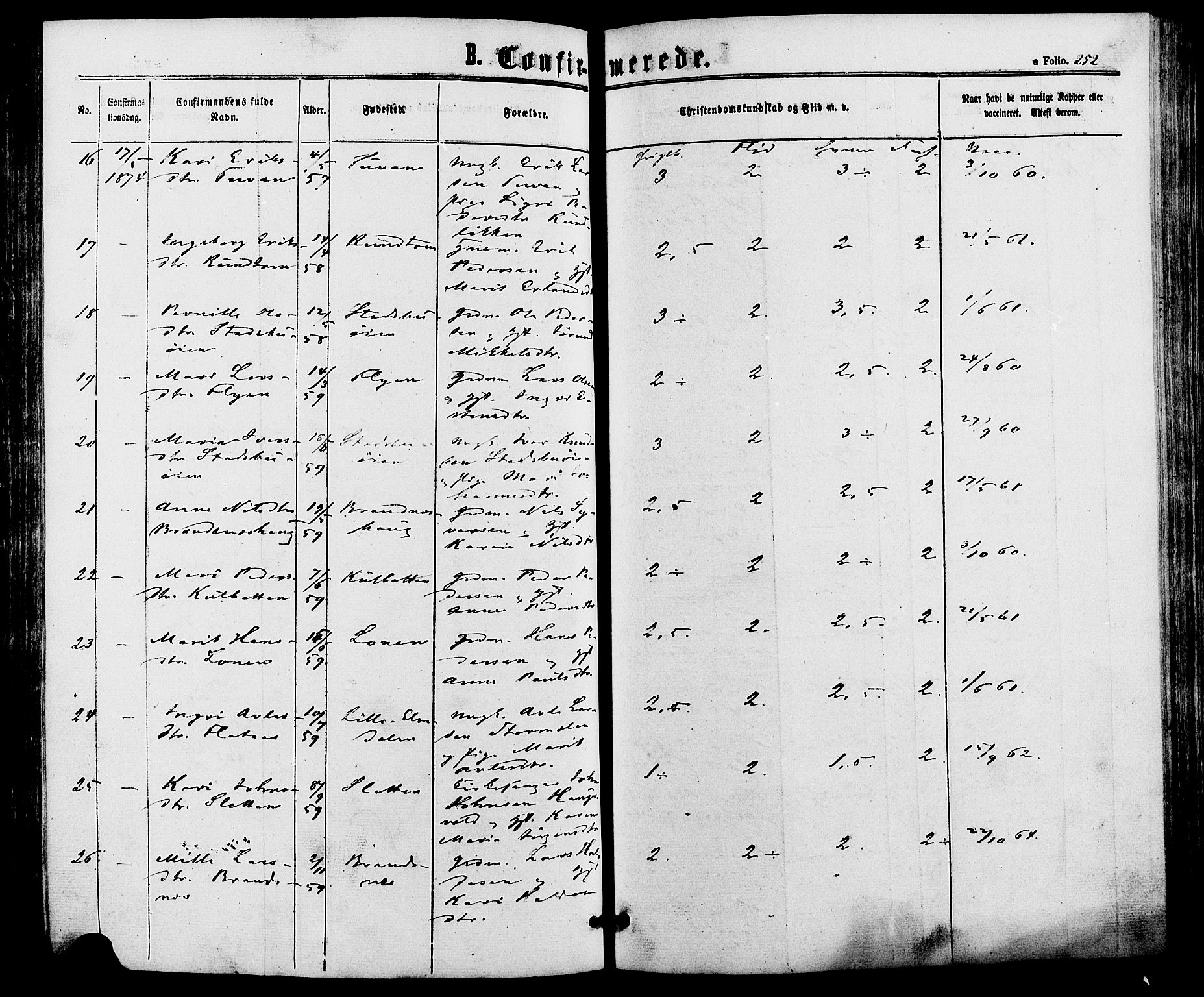 Alvdal prestekontor, AV/SAH-PREST-060/H/Ha/Haa/L0001: Ministerialbok nr. 1, 1863-1882, s. 252