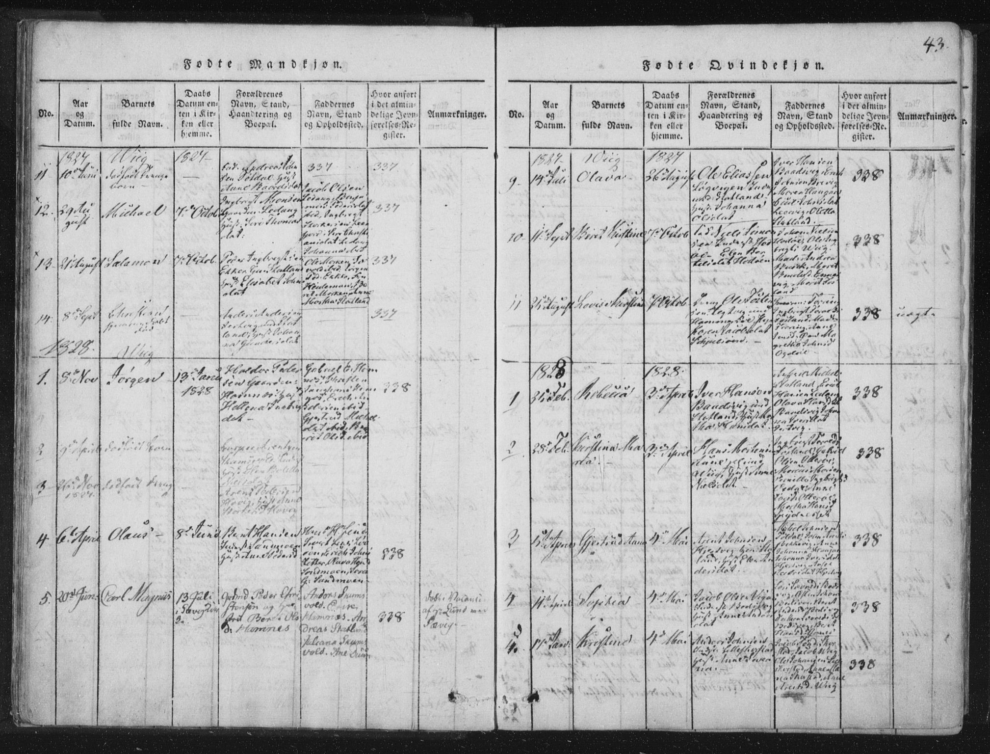 Ministerialprotokoller, klokkerbøker og fødselsregistre - Nord-Trøndelag, SAT/A-1458/773/L0609: Ministerialbok nr. 773A03 /2, 1815-1830, s. 43