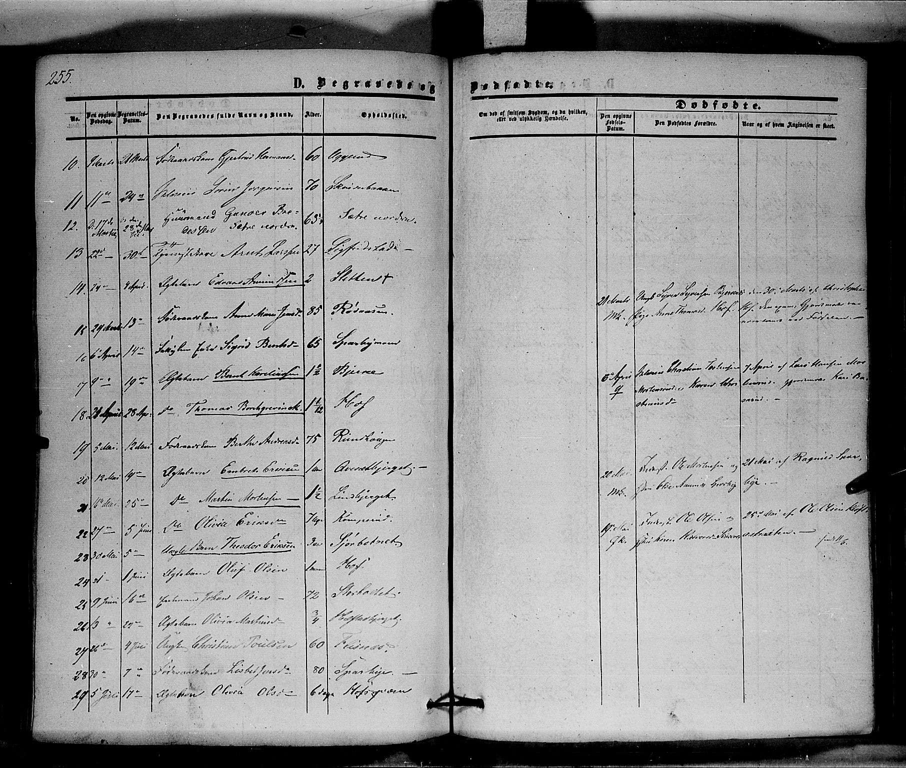 Hof prestekontor, AV/SAH-PREST-038/H/Ha/Haa/L0008: Ministerialbok nr. 8, 1849-1861, s. 255