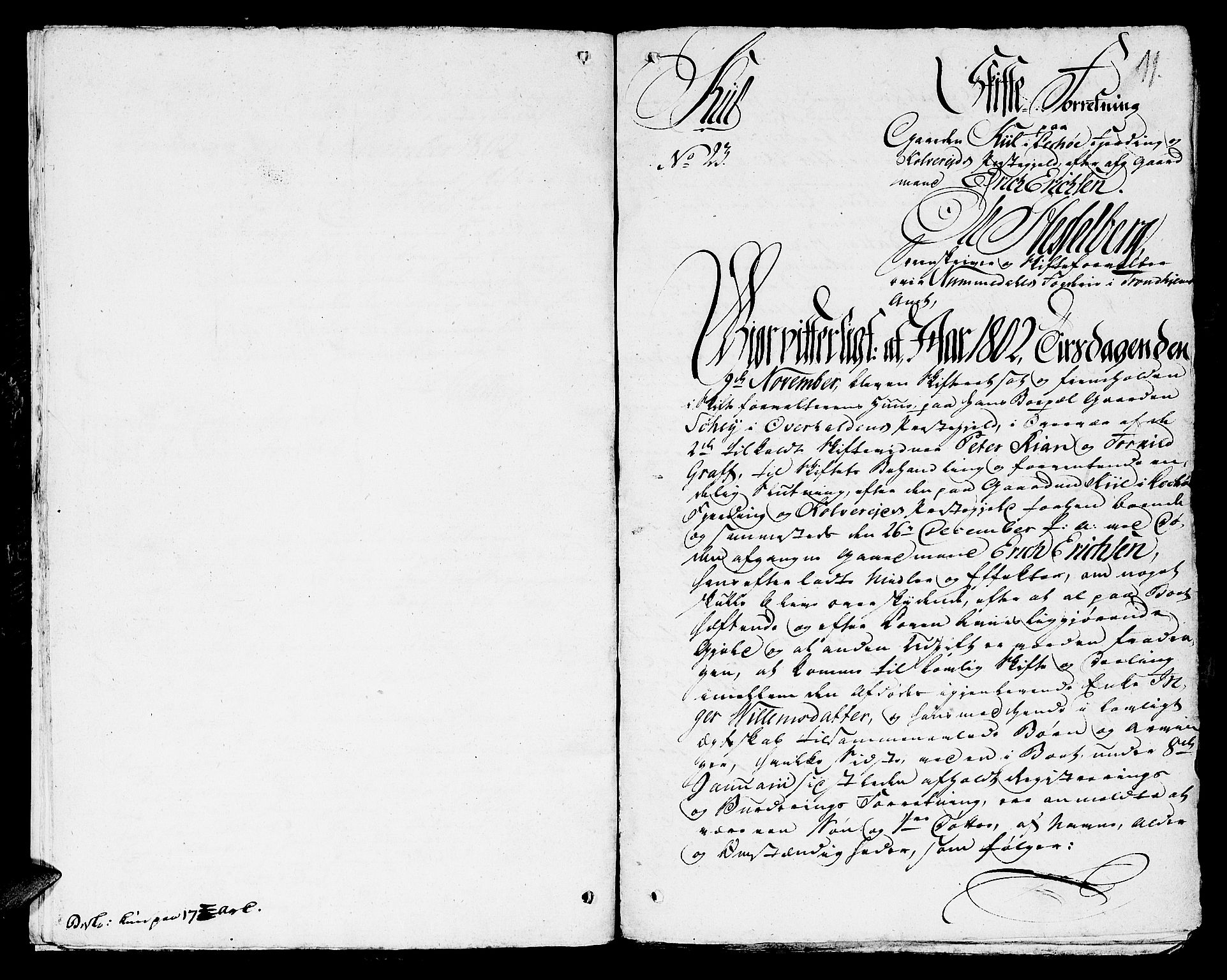 Namdal sorenskriveri, AV/SAT-A-4133/1/3/3A/L0029: Skifteprotokoll nr. 20b, 1802, s. 10b-11a