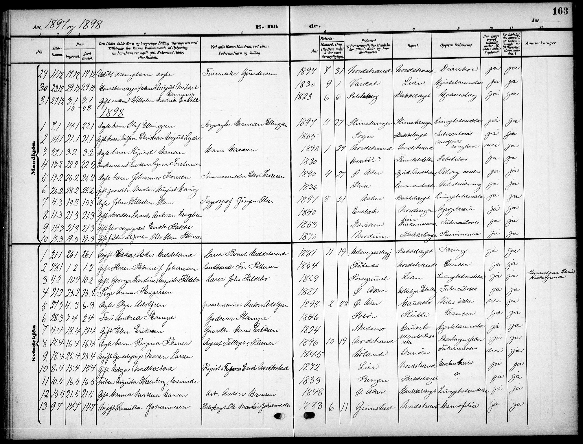 Nordstrand prestekontor Kirkebøker, AV/SAO-A-10362a/F/Fa/L0000: Ministerialbok nr.  0, 1881-1900, s. 163