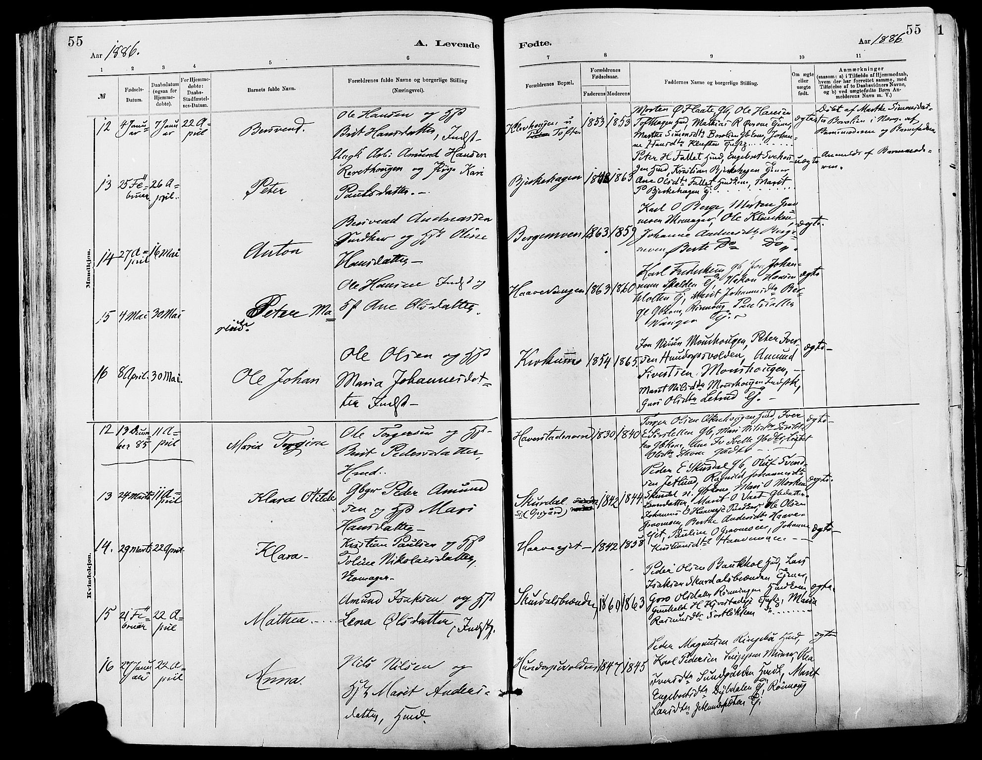 Sør-Fron prestekontor, AV/SAH-PREST-010/H/Ha/Haa/L0003: Ministerialbok nr. 3, 1881-1897, s. 55