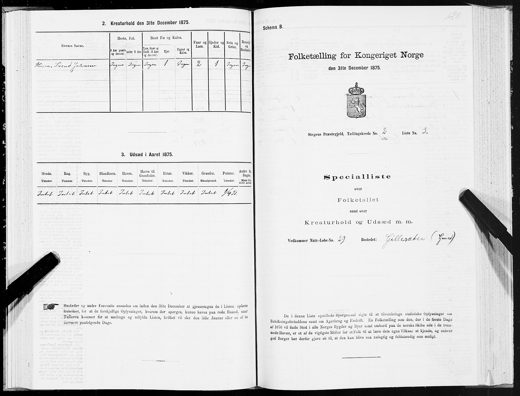 SAT, Folketelling 1875 for 1848P Steigen prestegjeld, 1875, s. 1128