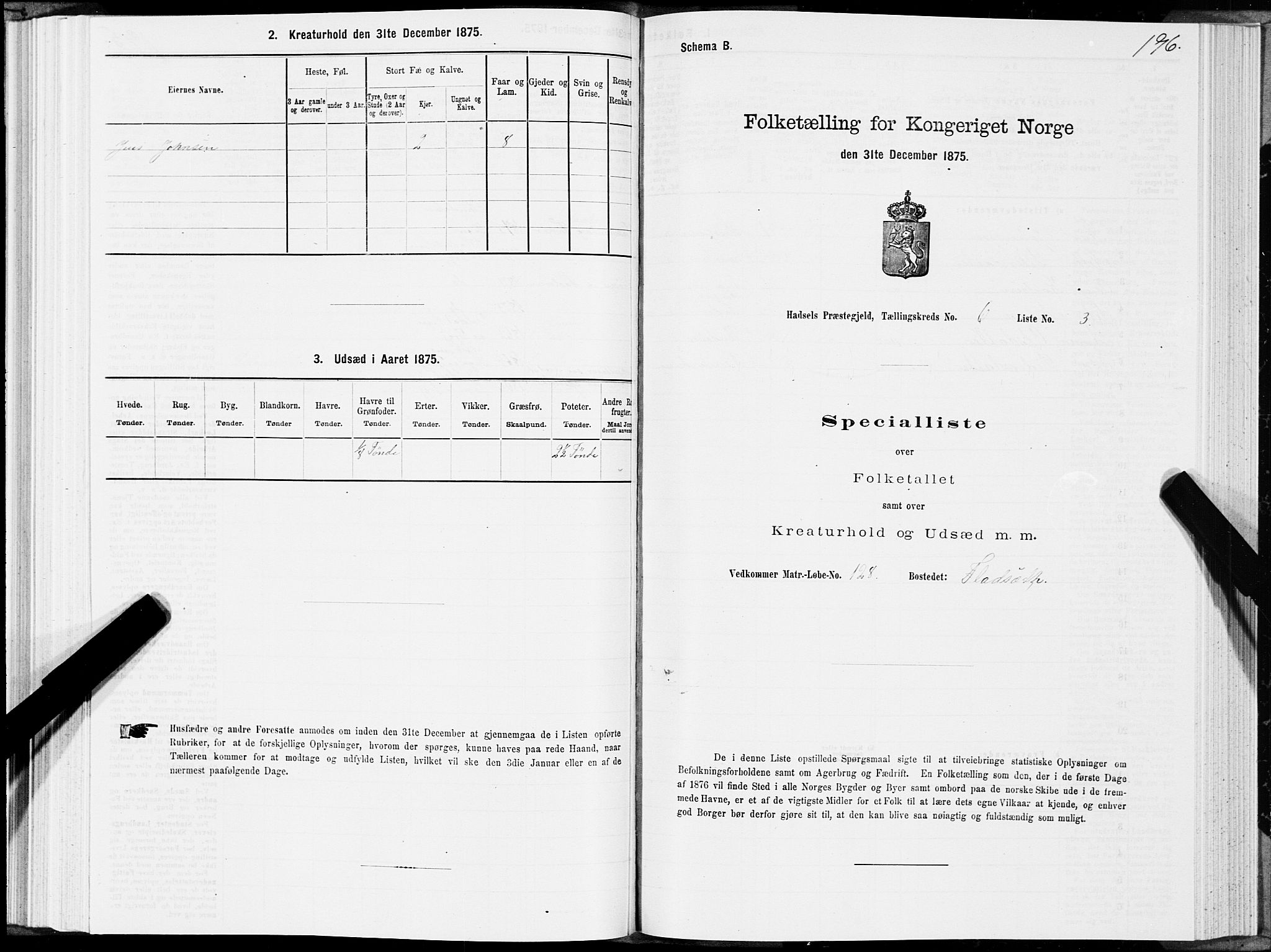 SAT, Folketelling 1875 for 1866P Hadsel prestegjeld, 1875, s. 3196