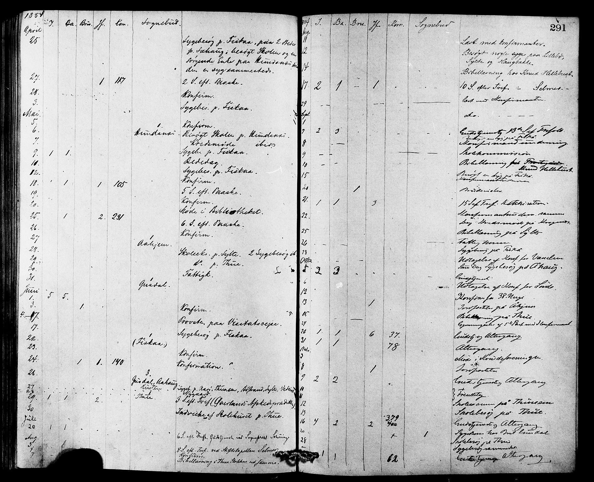 Ministerialprotokoller, klokkerbøker og fødselsregistre - Møre og Romsdal, AV/SAT-A-1454/501/L0007: Ministerialbok nr. 501A07, 1868-1884, s. 291