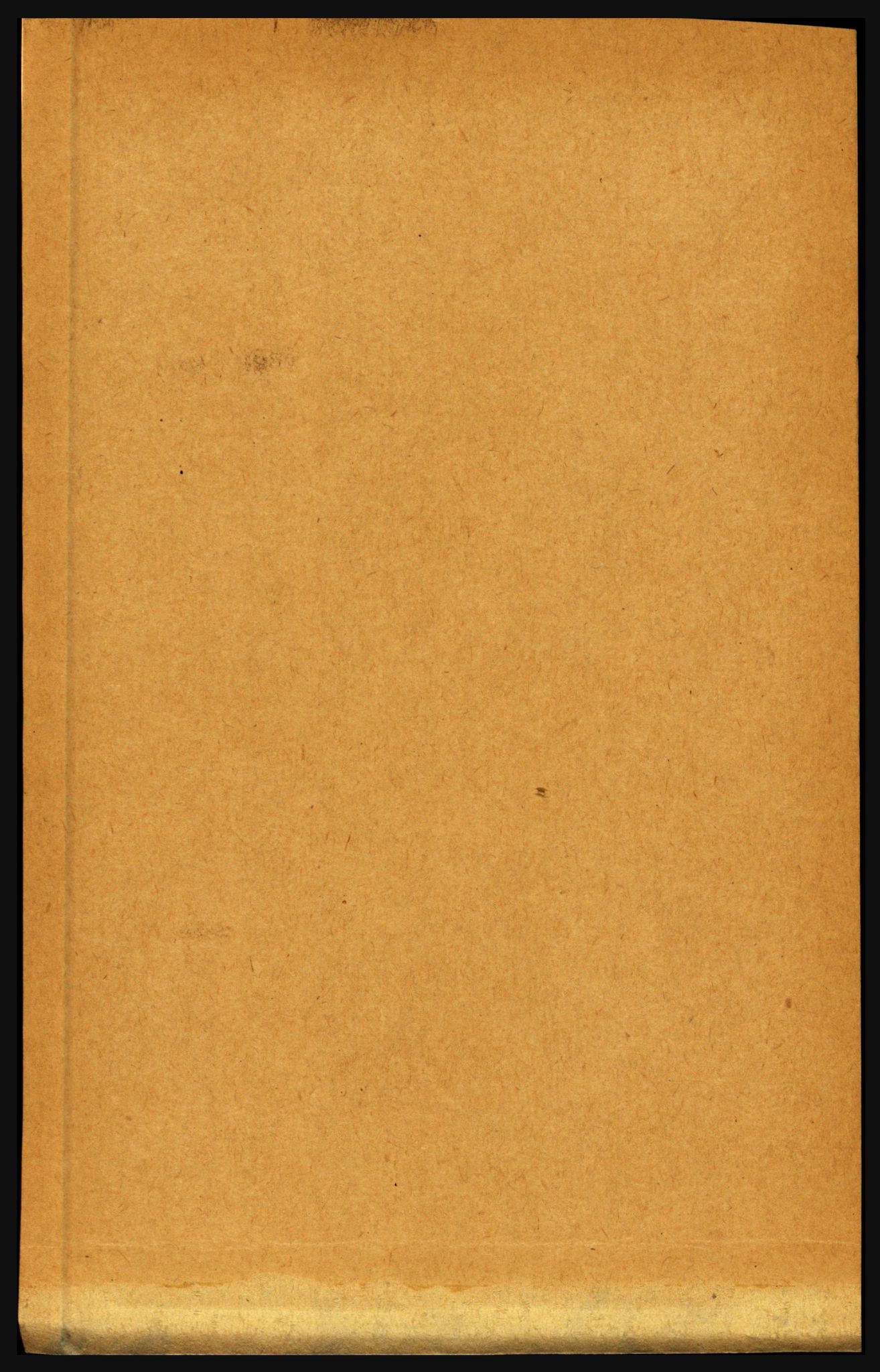 RA, Folketelling 1891 for 1846 Nordfold-Kjerringøy herred, 1891, s. 1981