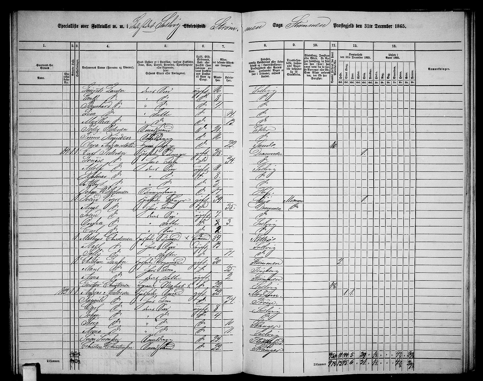 RA, Folketelling 1865 for 0711P Strømm prestegjeld, 1865, s. 94