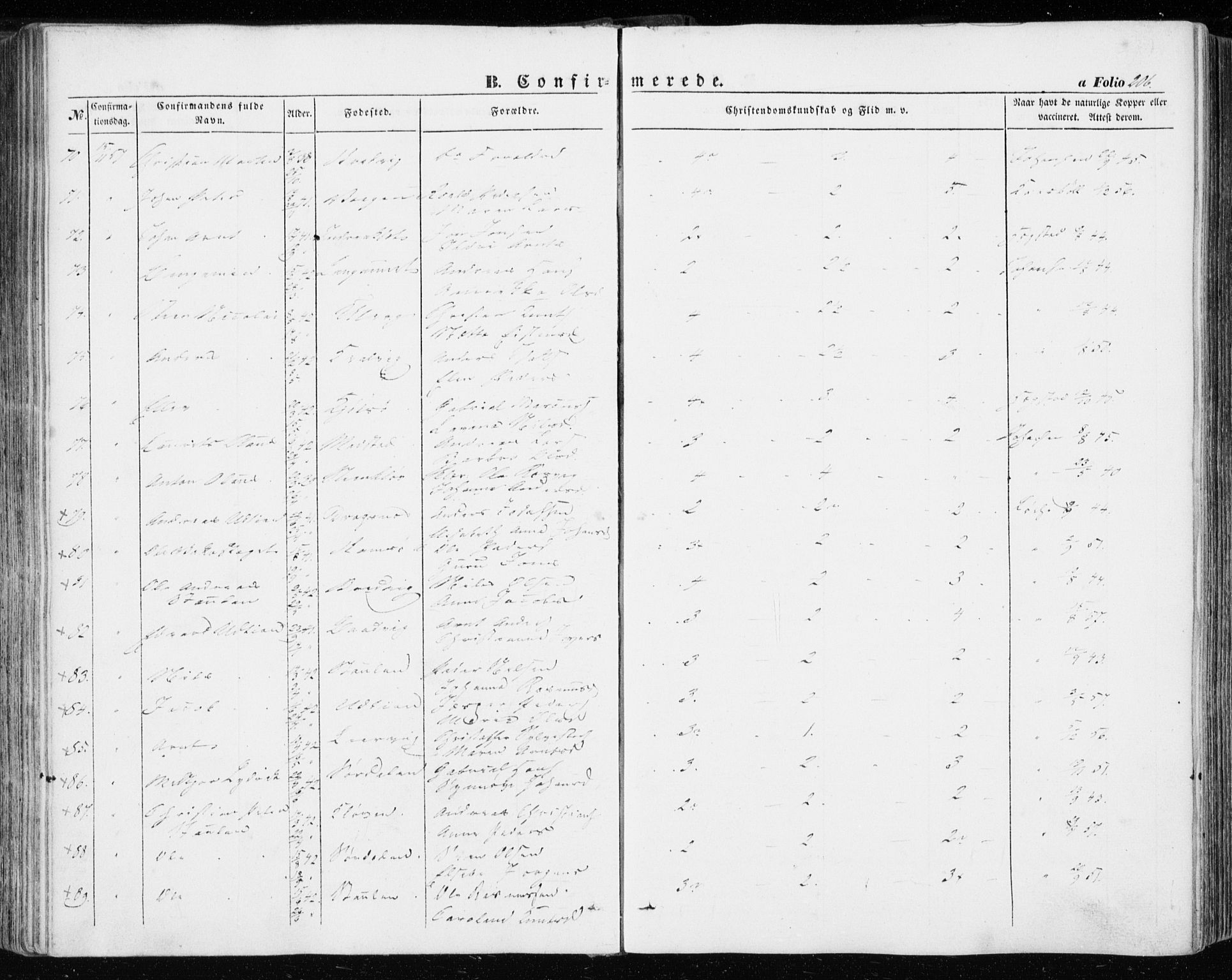 Ministerialprotokoller, klokkerbøker og fødselsregistre - Sør-Trøndelag, SAT/A-1456/634/L0530: Ministerialbok nr. 634A06, 1852-1860, s. 206
