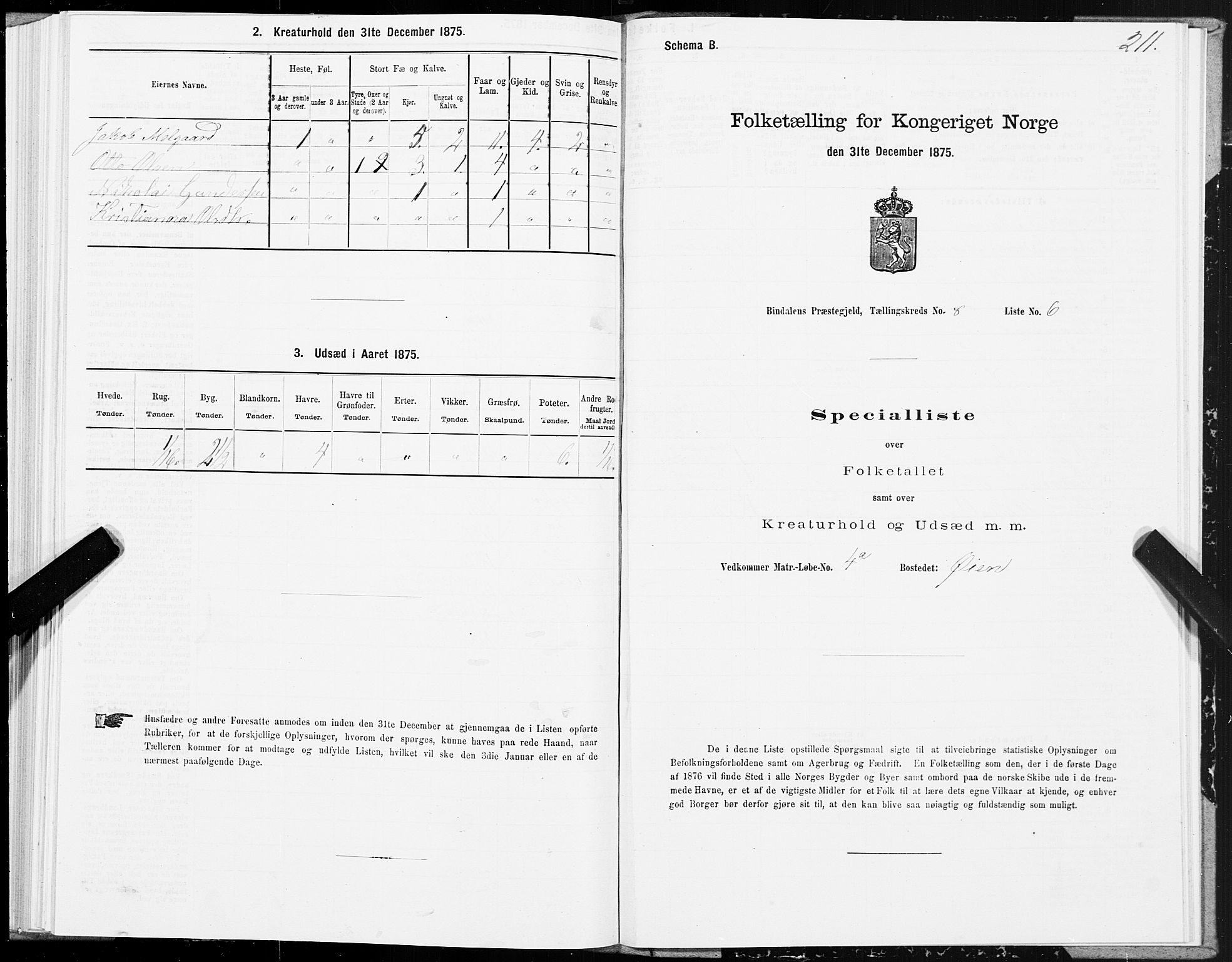 SAT, Folketelling 1875 for 1811P Bindal prestegjeld, 1875, s. 2211