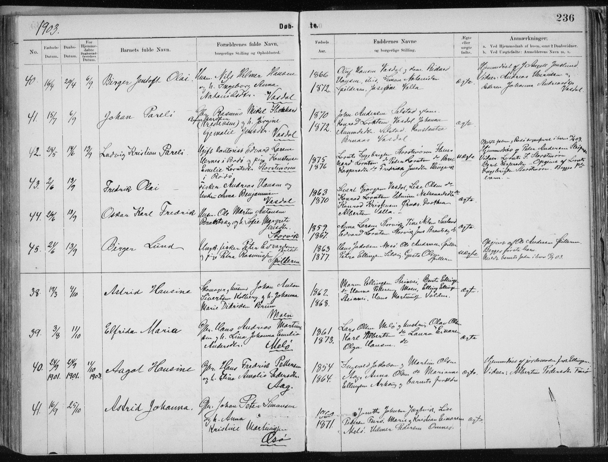 Ministerialprotokoller, klokkerbøker og fødselsregistre - Nordland, AV/SAT-A-1459/843/L0636: Klokkerbok nr. 843C05, 1884-1909, s. 236