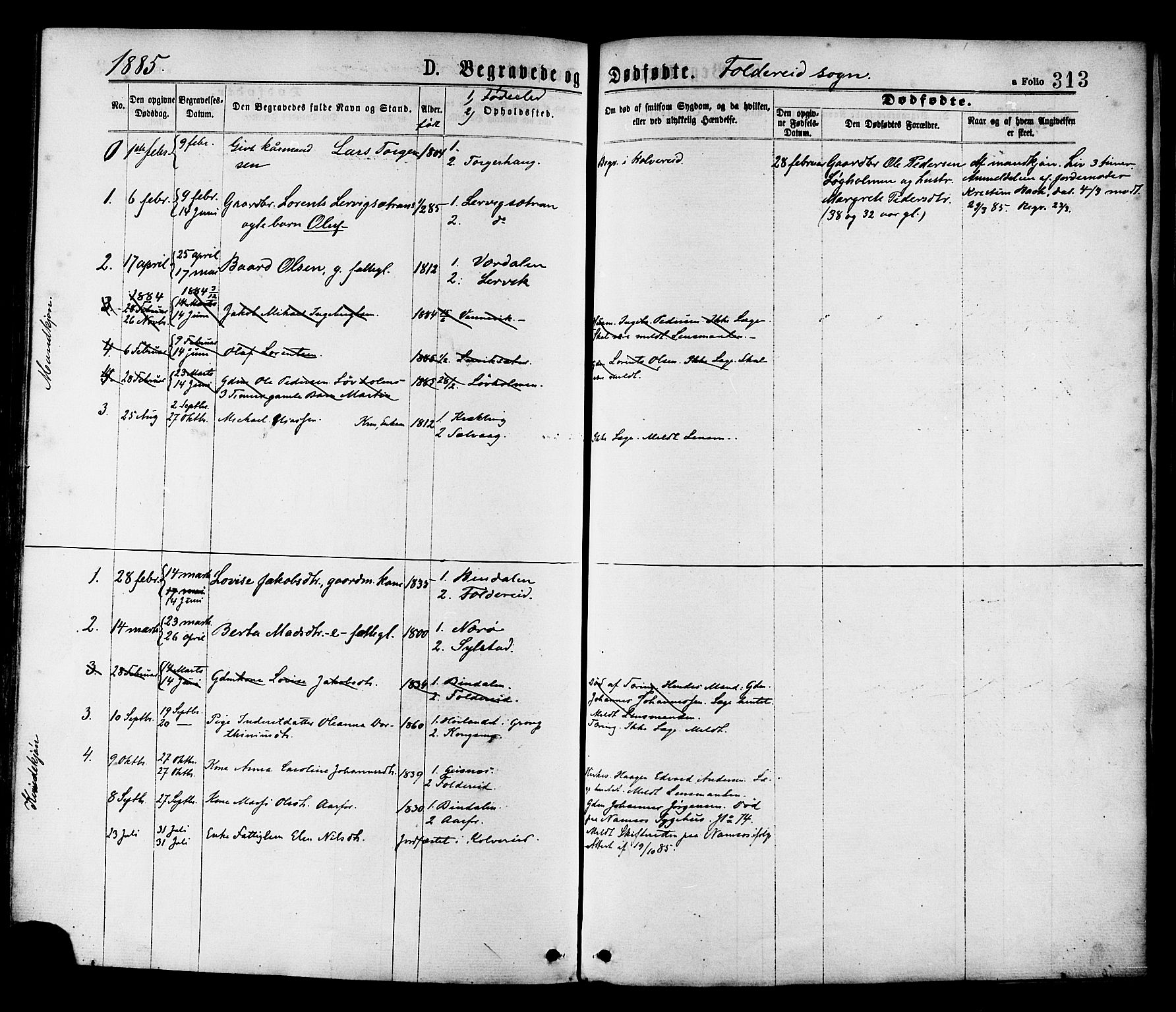 Ministerialprotokoller, klokkerbøker og fødselsregistre - Nord-Trøndelag, AV/SAT-A-1458/780/L0642: Ministerialbok nr. 780A07 /2, 1878-1885, s. 313