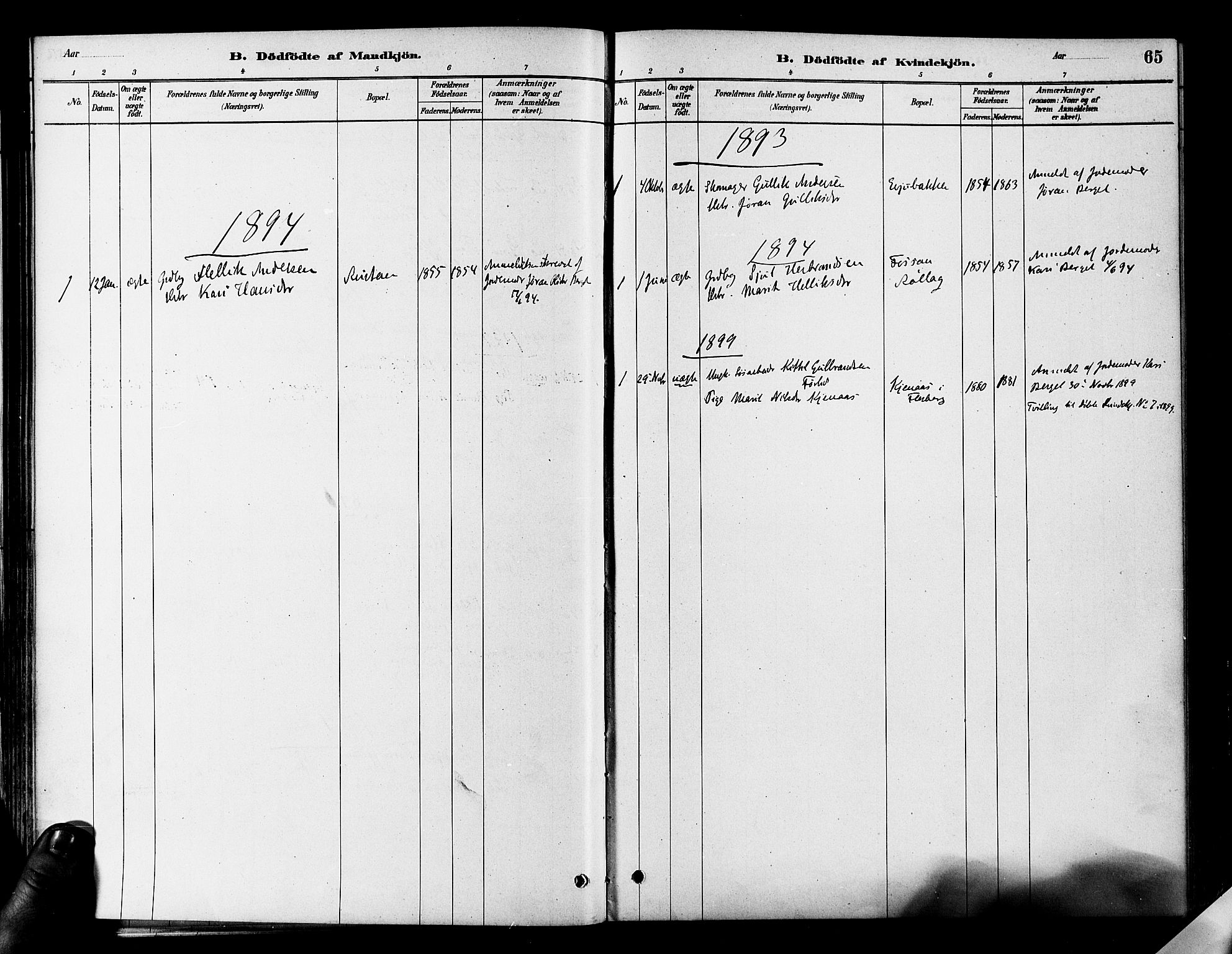Flesberg kirkebøker, AV/SAKO-A-18/F/Fa/L0008: Ministerialbok nr. I 8, 1879-1899, s. 65