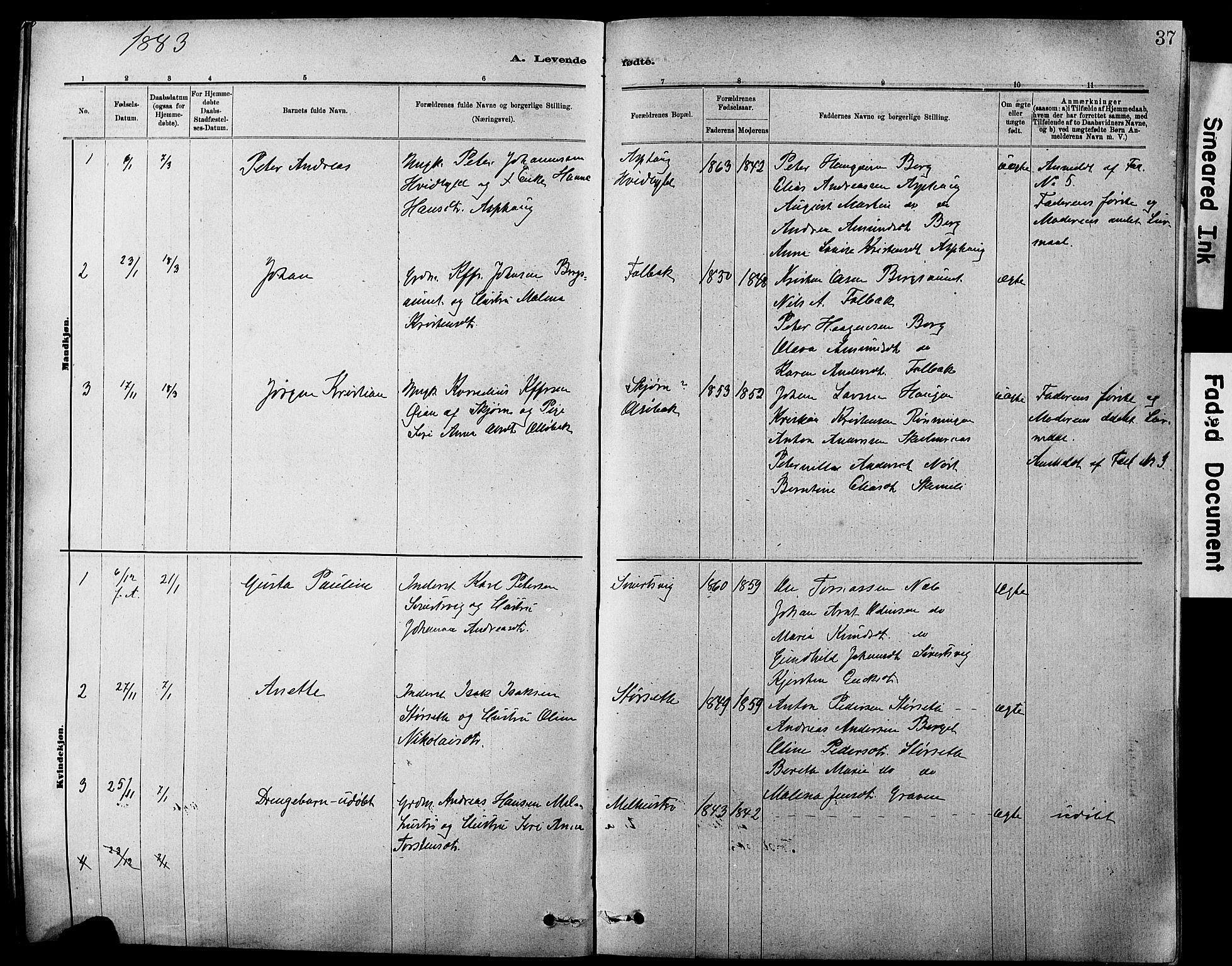 Ministerialprotokoller, klokkerbøker og fødselsregistre - Sør-Trøndelag, SAT/A-1456/647/L0636: Klokkerbok nr. 647C01, 1881-1884, s. 37