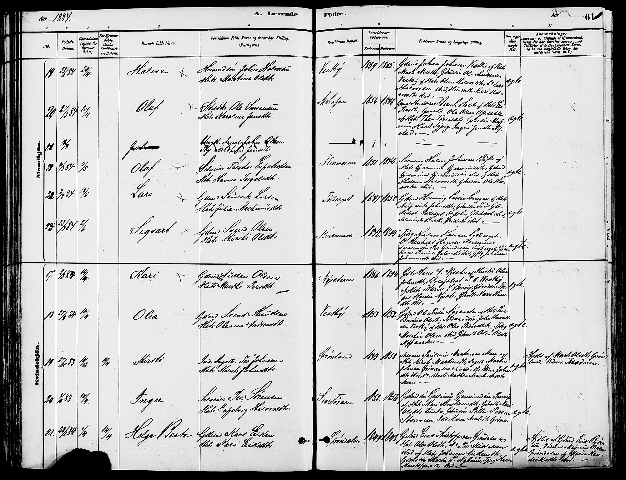 Trysil prestekontor, AV/SAH-PREST-046/H/Ha/Haa/L0008: Ministerialbok nr. 8, 1881-1897, s. 61