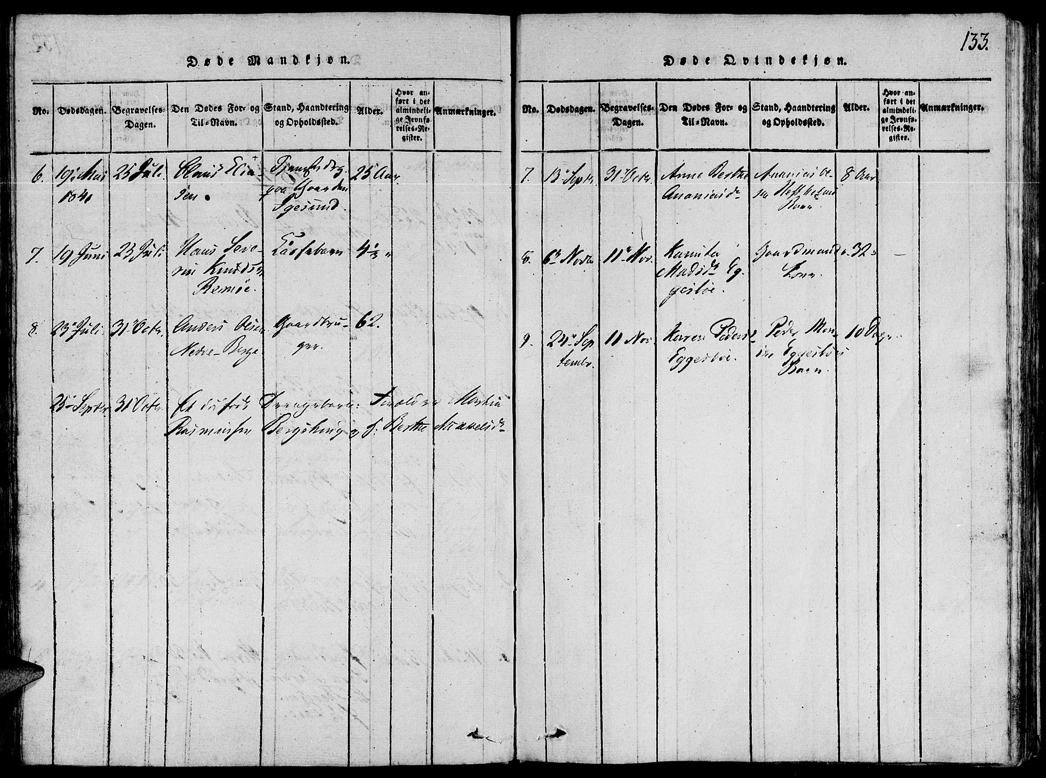 Ministerialprotokoller, klokkerbøker og fødselsregistre - Møre og Romsdal, AV/SAT-A-1454/507/L0069: Ministerialbok nr. 507A04, 1816-1841, s. 133