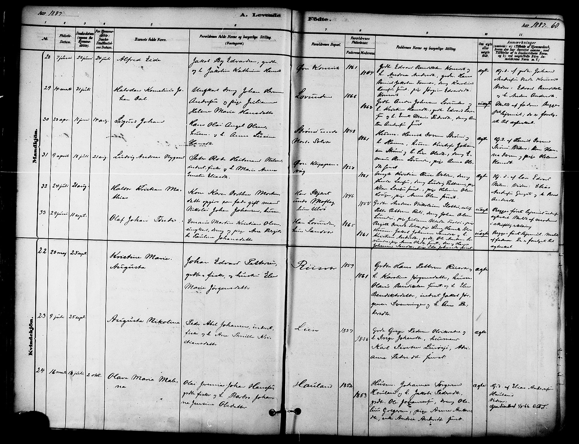 Ministerialprotokoller, klokkerbøker og fødselsregistre - Nordland, AV/SAT-A-1459/839/L0568: Ministerialbok nr. 839A05, 1880-1902, s. 60
