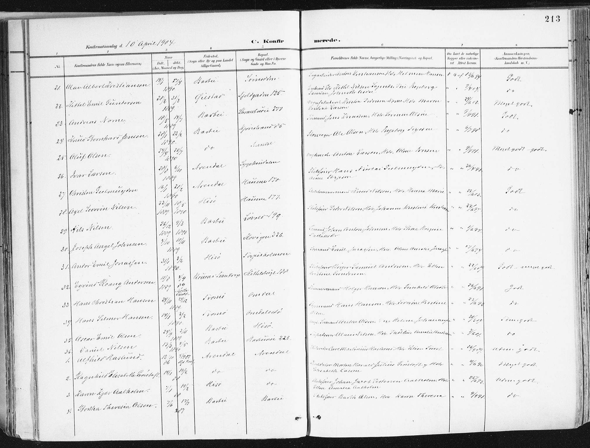 Arendal sokneprestkontor, Trefoldighet, SAK/1111-0040/F/Fa/L0010: Ministerialbok nr. A 10, 1900-1919, s. 213