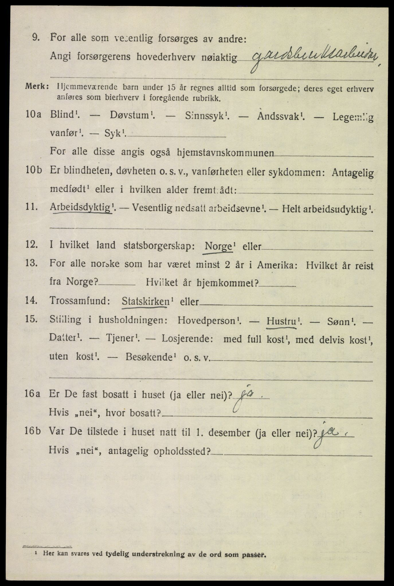 SAH, Folketelling 1920 for 0514 Lom herred, 1920, s. 2555