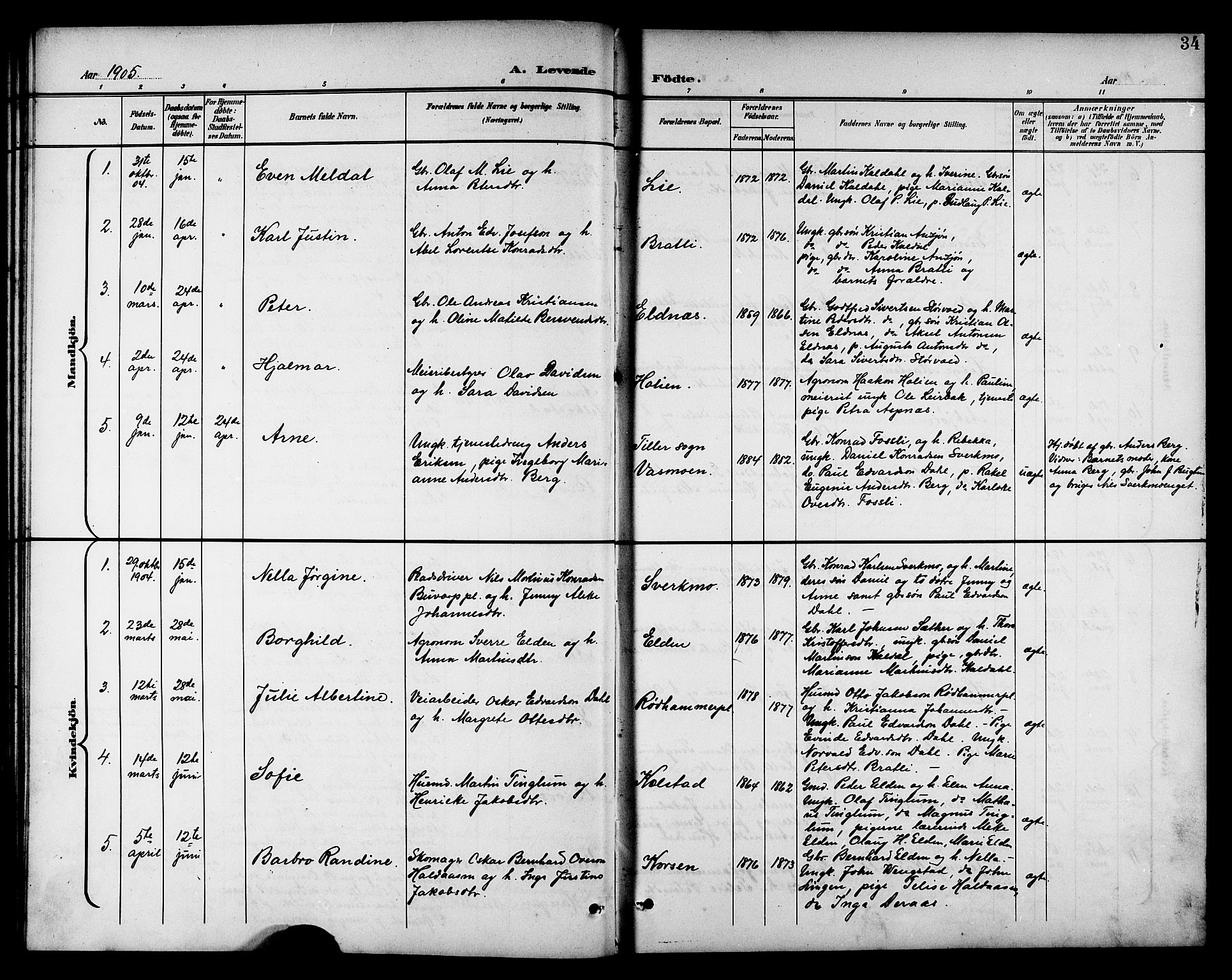 Ministerialprotokoller, klokkerbøker og fødselsregistre - Nord-Trøndelag, SAT/A-1458/742/L0412: Klokkerbok nr. 742C03, 1898-1910, s. 34