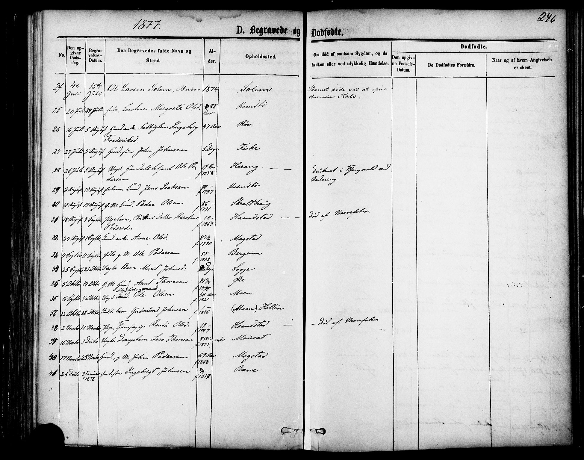 Ministerialprotokoller, klokkerbøker og fødselsregistre - Møre og Romsdal, AV/SAT-A-1454/595/L1046: Ministerialbok nr. 595A08, 1874-1884, s. 246