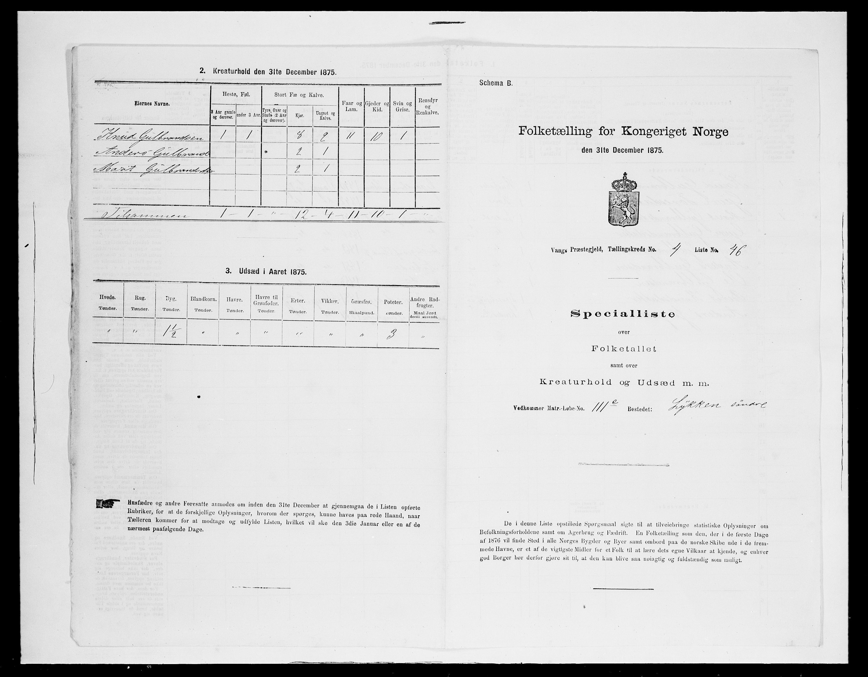 SAH, Folketelling 1875 for 0545P Vang prestegjeld, 1875, s. 435