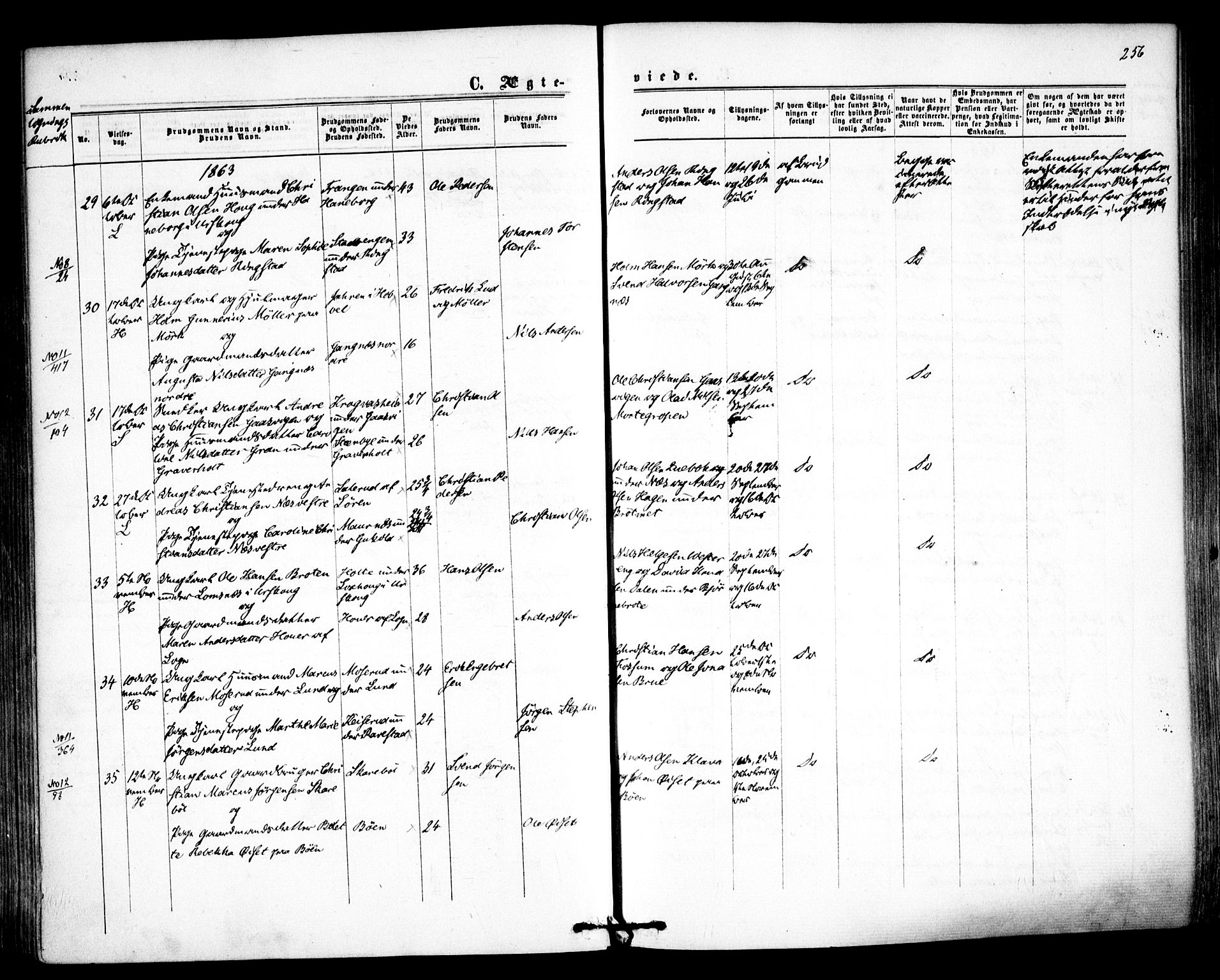 Høland prestekontor Kirkebøker, AV/SAO-A-10346a/F/Fa/L0011: Ministerialbok nr. I 11, 1862-1869, s. 256